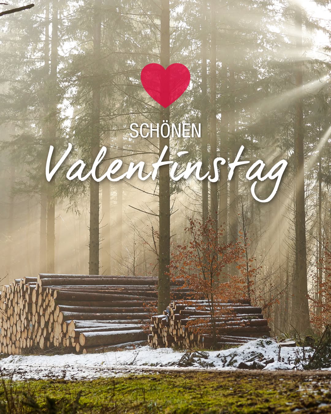 Dieser Alternativtext wurde KI-generiert: Ein Waldweg führt zu einem Holzstapel in nebliger Landschaft. Ein rotes Herz und der Schriftzug "Schönen Valentinstag" sind über das Bild gelegt.