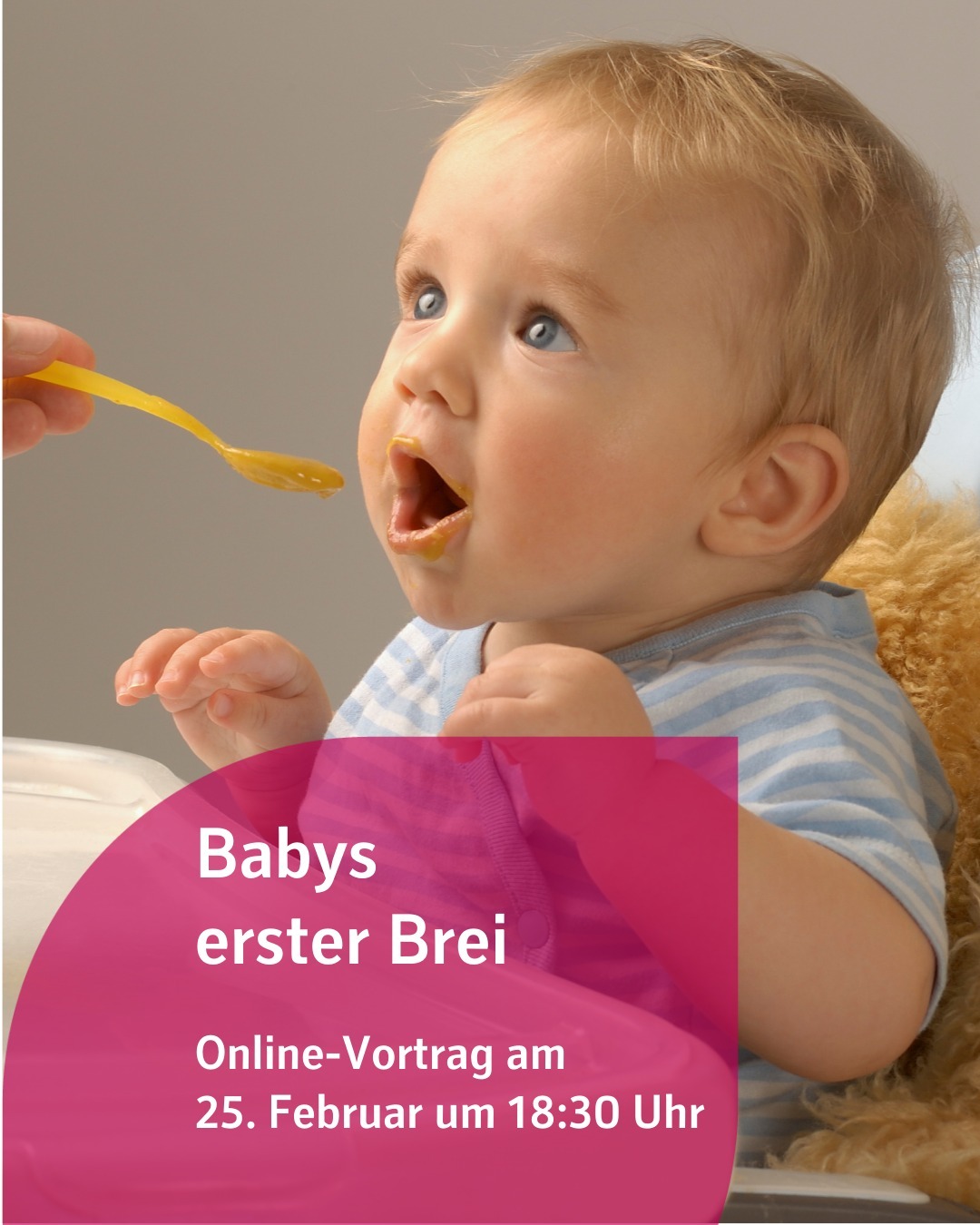 Zu sehen ist ein Kleinkind, dem Brei gegeben wird. Bildtext: Babys erster Brei. Online-Vortrag am 25. Februar um 18:30 Uhr.