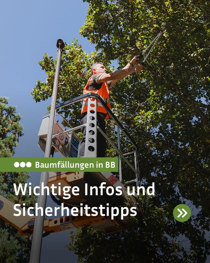 Person in Sicherheitsweste schneidet Äste von einem Baum in einer Hebebühne. Text: 'Baumfällungen in BB - Wichtige Infos und Sicherheitstipps' auf grünem Banner.