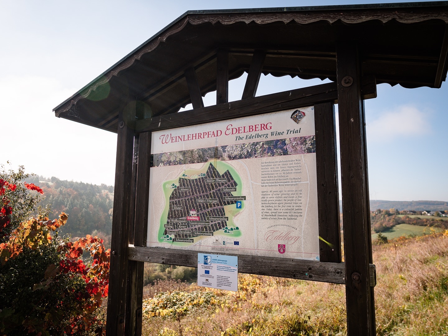 Ein hölzerner Wegweiser zeigt eine Karte mit Rebflächen und Informationen. Der Wegweiser steht auf einem Hügel mit Weinbergen im Hintergrund.