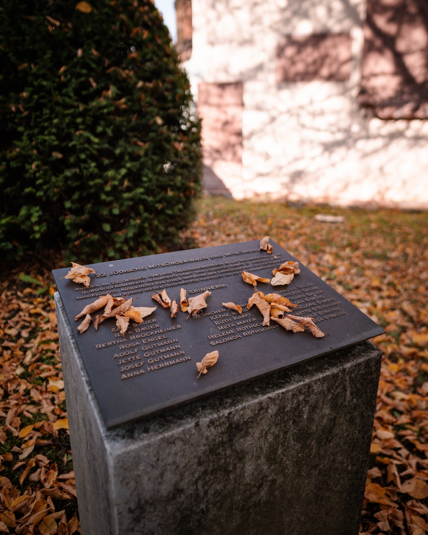 Gedenkstein mit Namen von Opfern des Holocaust. Herbstlaub liegt auf dem Stein.