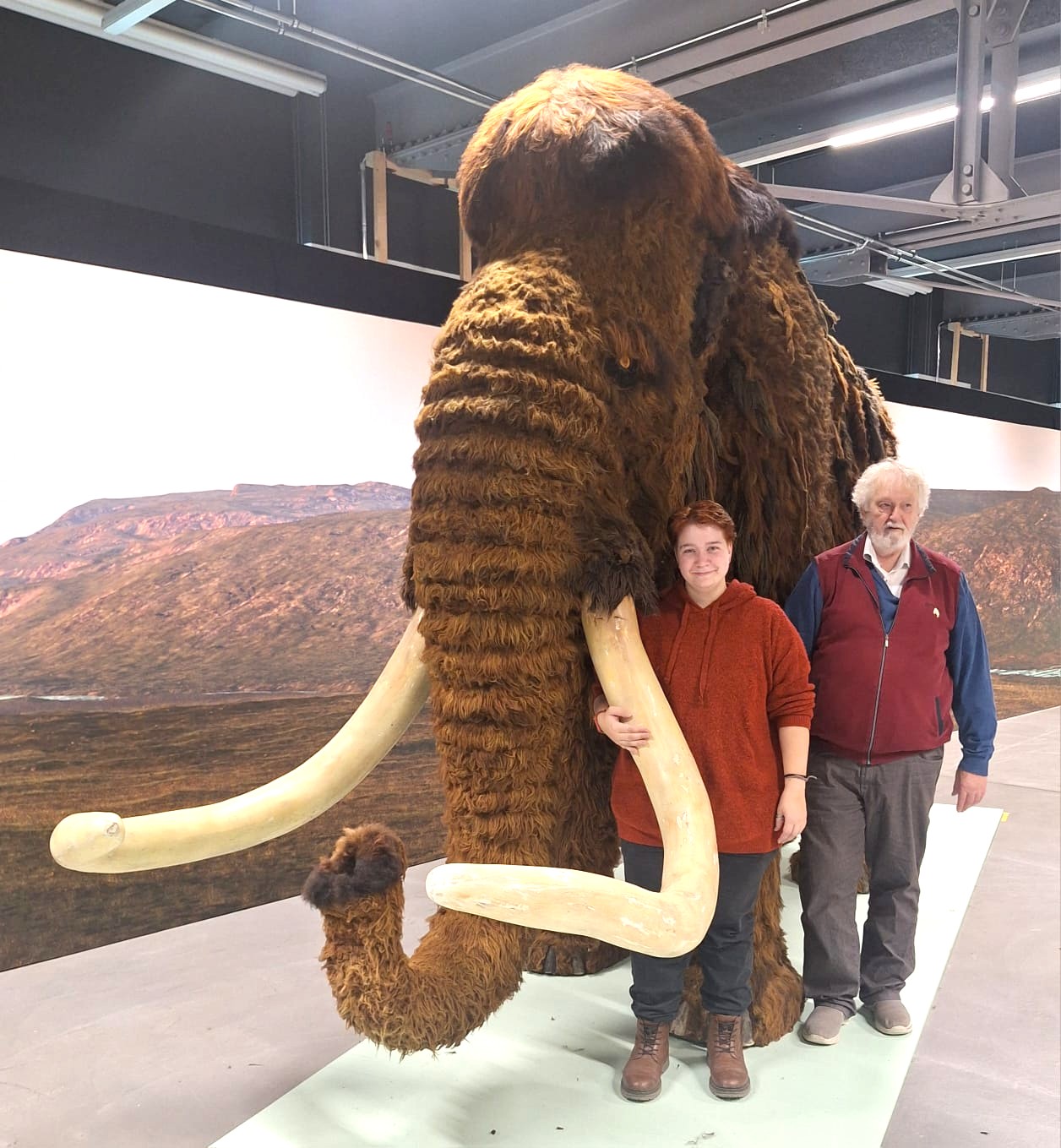 Dieser Alternativtext wurde KI-generiert: Ein lebensgroßes Modell eines Wollmammuts steht in einem hellen Raum. Zwei Personen stehen daneben und betrachten das Modell vor einer Landschaftsaufnahme.