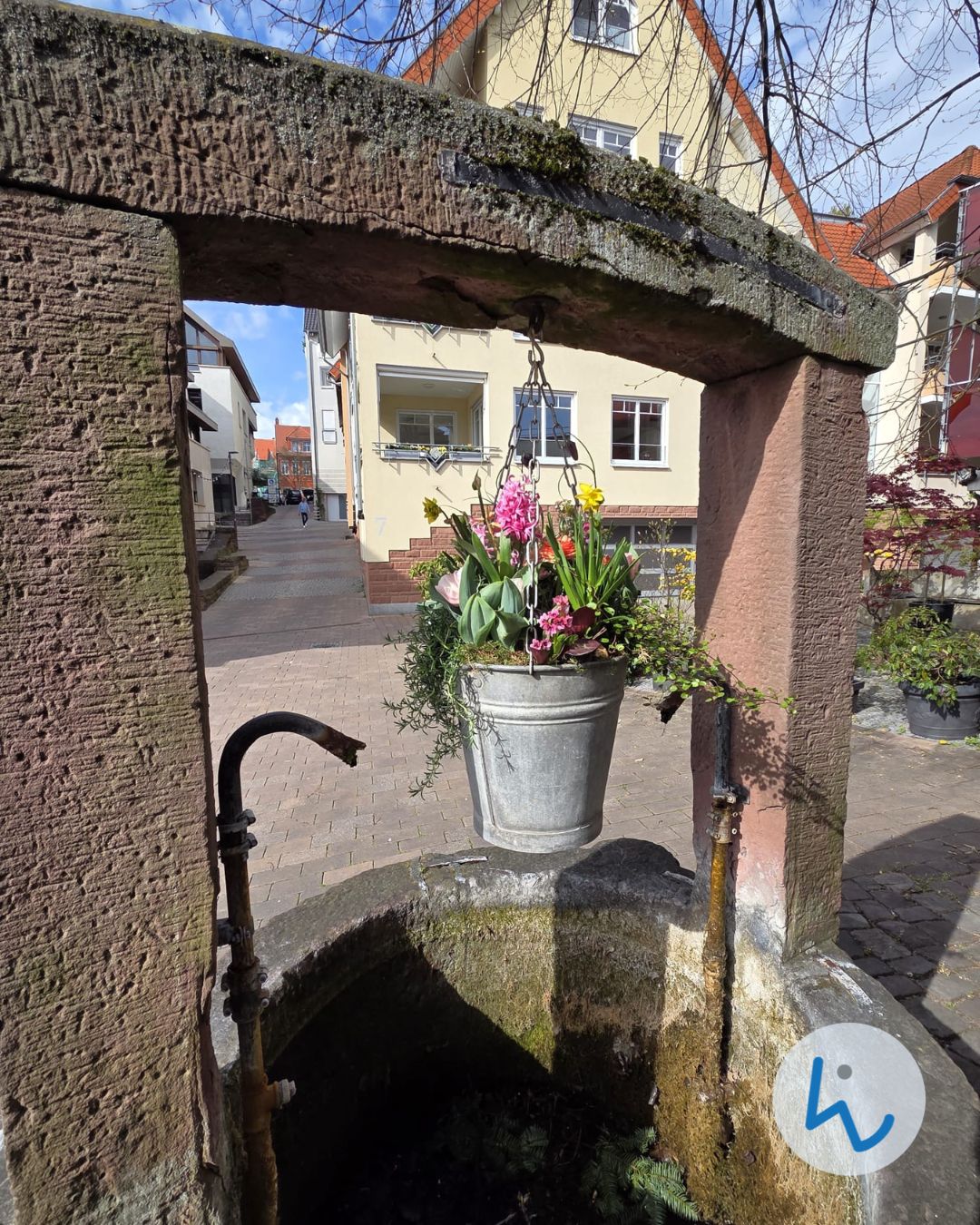 Dieser Alternativtext wurde KI-generiert: Ein Brunnen mit einem Eimer voller bunter Blumen im Vordergrund. Im Hintergrund sind Gebäude und eine Straße zu sehen.