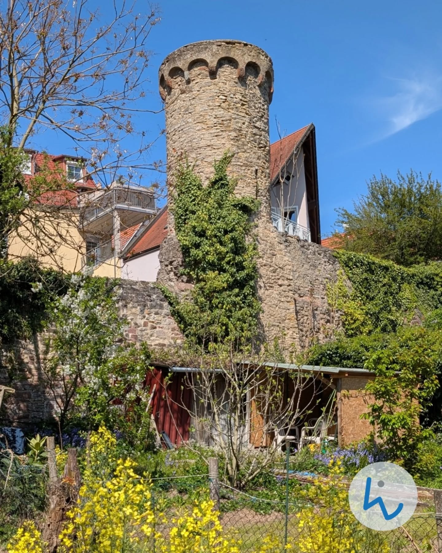 Dieser Alternativtext wurde KI-generiert: Ein alter, runder Turm aus Stein steht vor Gebäuden mit roten Ziegeldächern. Pflanzen ranken an der Turmwand hoch und gelbe Blumen blühen im Vordergrund.