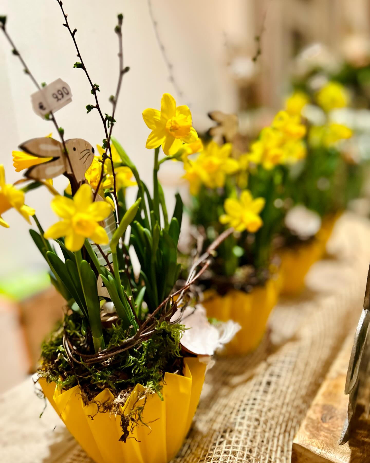 Gelbe, blühende Narzissen in Töpfen stehen auf einem Tisch. Dekorationen, darunter eine kleine Figur, sind in den Töpfen platziert.