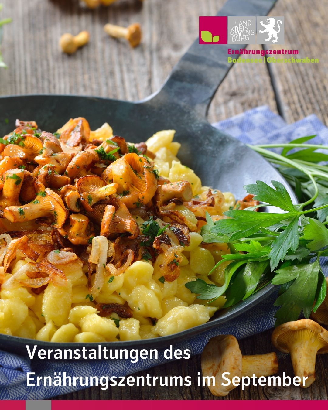 In einer kleinen Pfanne befinden sich Spätzle und eine Pilzsoße. Bildtext: Veranstaltungen des Ernährungszentrums im September.