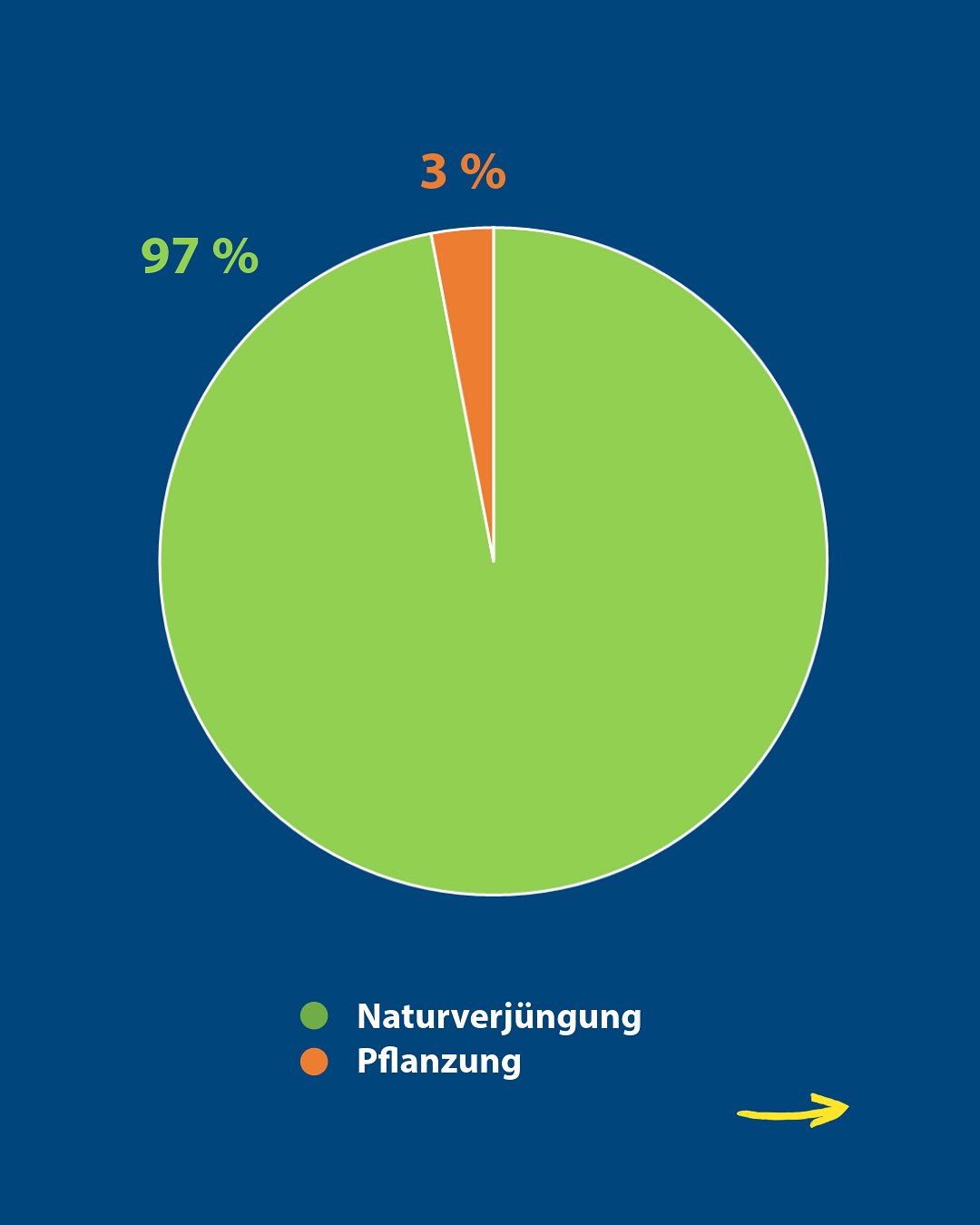 Dieser Alternativtext wurde KI-generiert: Kreisdiagramm zeigt einen großen überwiegenden Teil in hellgrün und einen kleineren Teil in orange. Das Diagramm stellt eine Aufteilung von Prozentsätzen dar, mit 97% für einen Bereich und 3% für einen anderen.