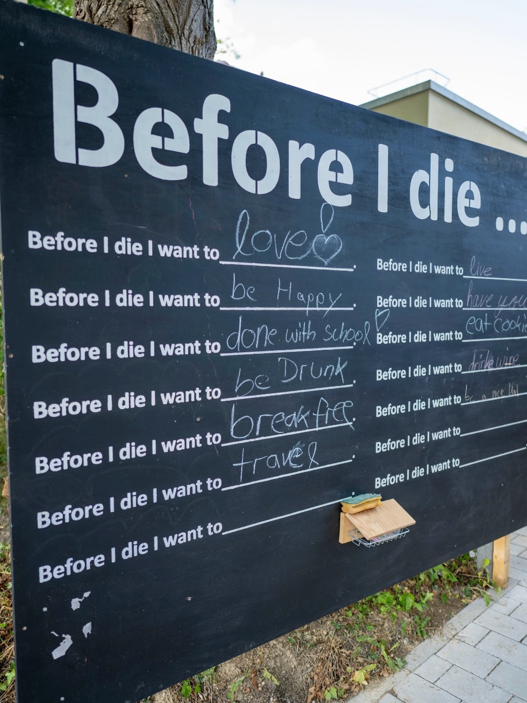 Dieser Alternativtext wurde KI-generiert: Schwarz-weißes Foto einer Tafel mit der Aufschrift "Before I die..." und darunter mehreren unvollständigen Sätzen, die mit "Before I die I want to..." beginnen. Eine kleine Holzfigur steht vor der Tafel.