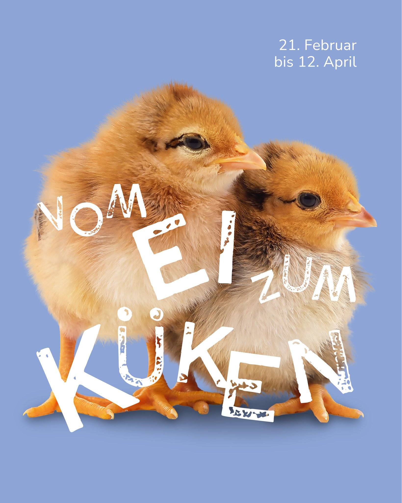 Dieser Alternativtext wurde KI-generiert: Das Bild zeigt mehrere junge Küken in einem Haufen. Über den Küken steht in großen Buchstaben ein Text.