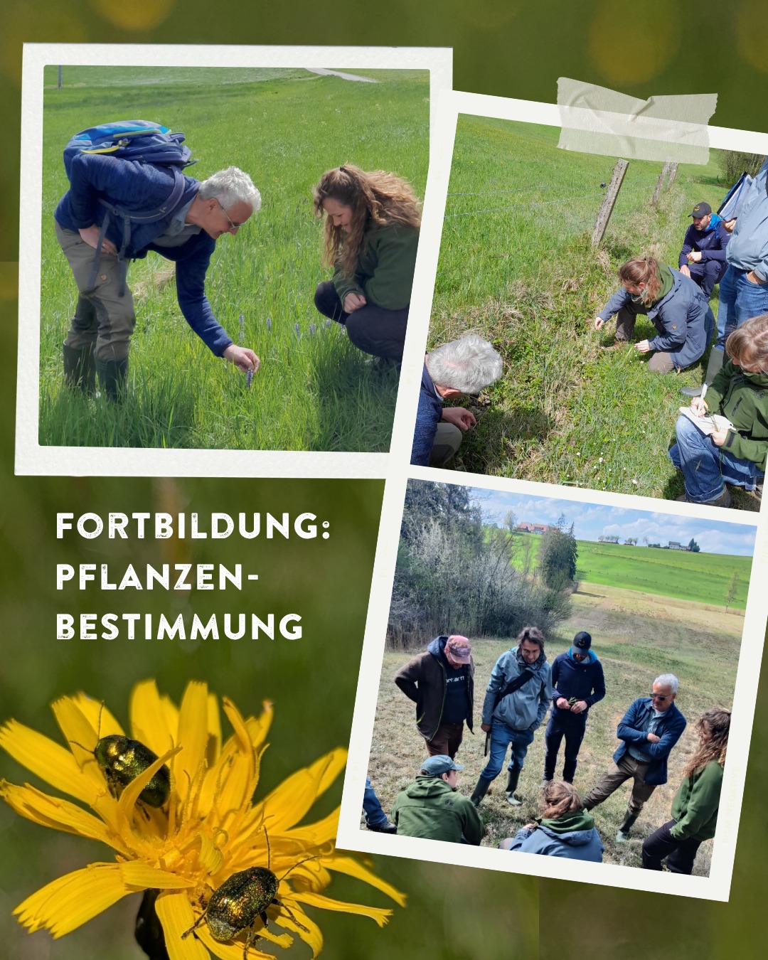 Dieser Alternativtext wurde KI-generiert: Eine Collage zeigt verschiedene Szenen von Menschen, die sich im Freien aufhalten und Pflanzen betrachten. Das Bild ist in einem quadratischen, polaroidartigen Rahmen angeordnet.