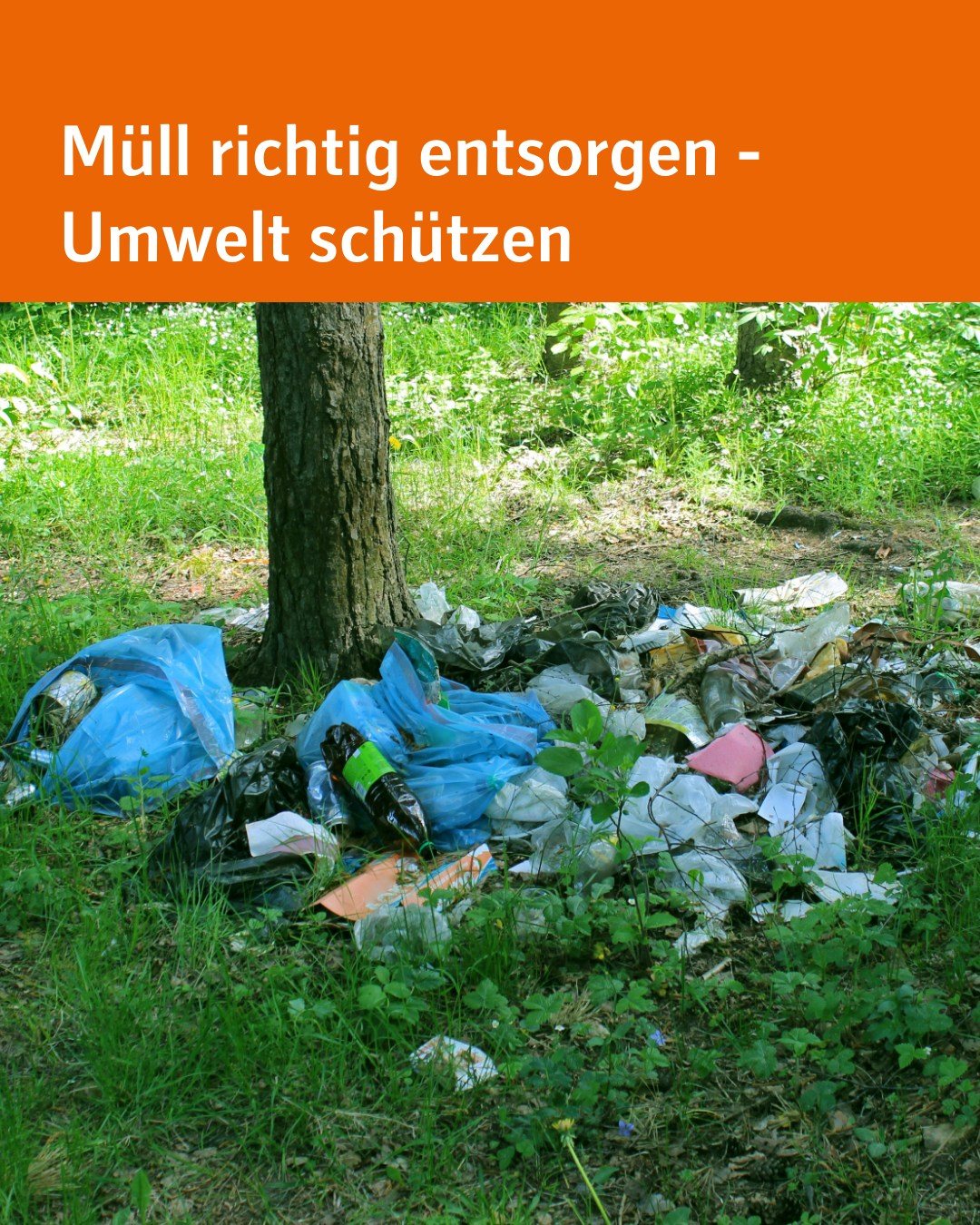 Müll, genauer gesagt Plastikmüll liegt in einem Wald lose herum. Bildtext: Müll richtig entsorgen - Umwelt schützen.