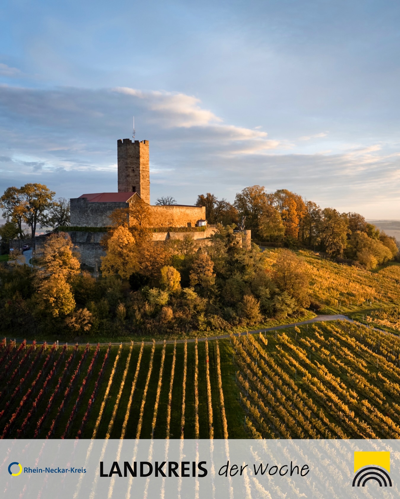 Eine Burg steht auf einem bewaldeten Hügel mit angrenzenden Weinbergen unter einem bewölkten Himmel.