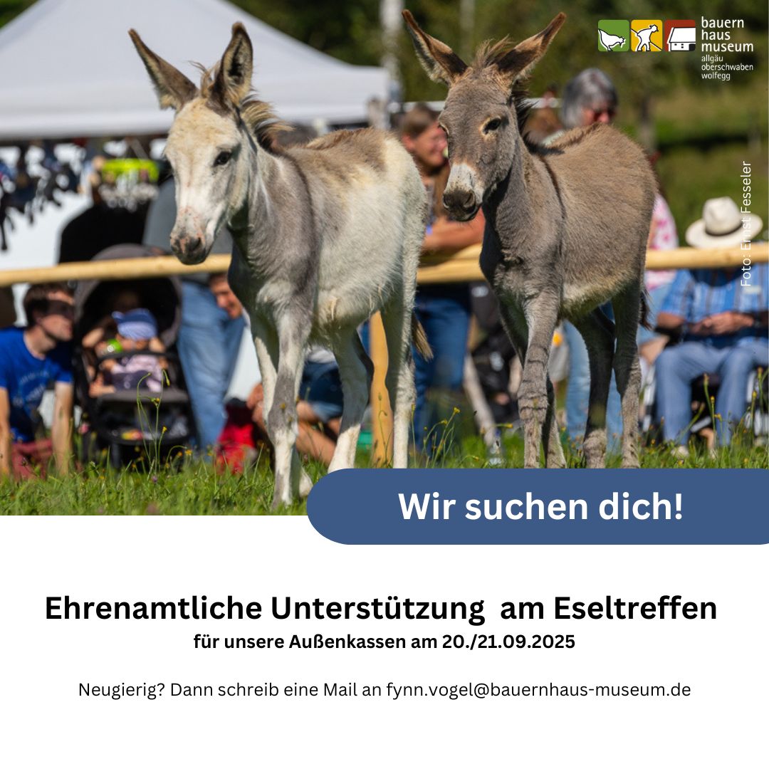 Ein farbiges Bild zeigt mehrere Esel auf einer Wiese, im Hintergrund sind Personen und ein Banner mit Text zu sehen. Das Bild wirbt um ehrenamtliche Unterstützung für ein Eseltreffen.