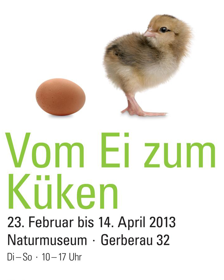 Dieser Alternativtext wurde KI-generiert: Ein kleines Küken steht neben einem Ei. Darunter befindet sich ein Text mit Informationen zu einer Ausstellung im Naturmuseum.