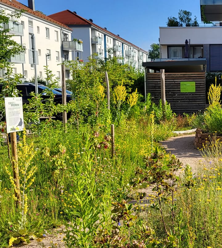 Dieser Alternativtext wurde KI-generiert: Ein Weg führt durch üppige, grüne Bepflanzung an einigen Gebäuden vorbei. Im Vordergrund ist ein Schild zu sehen.