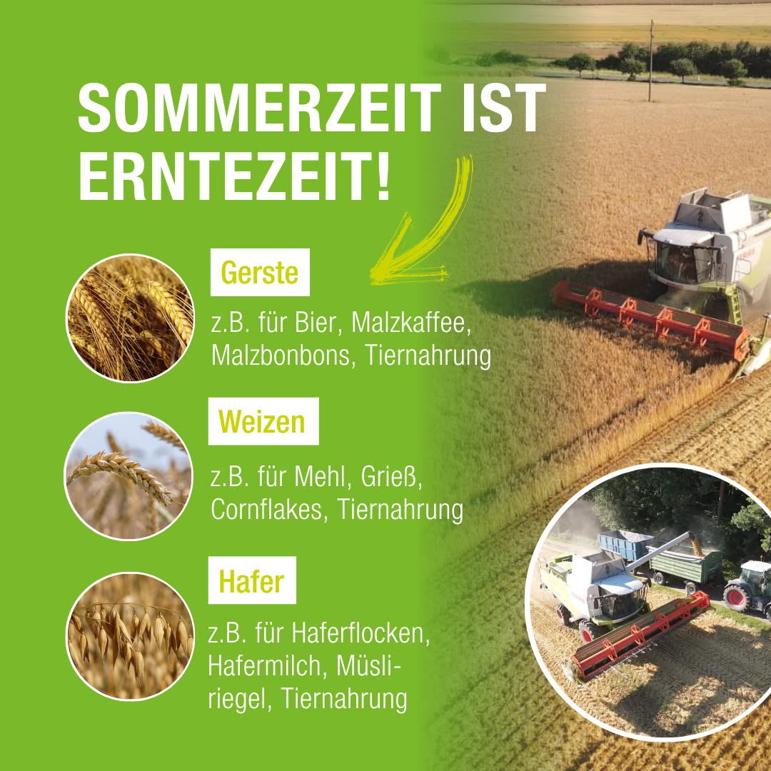 Ein farbenfrohes Werbeplakat zeigt Getreidearten wie Gerste, Weizen und Hafer mit Angaben zu ihren Verwendungsmöglichkeiten. Im Hintergrund sind Felder und Landmaschinen zu sehen.