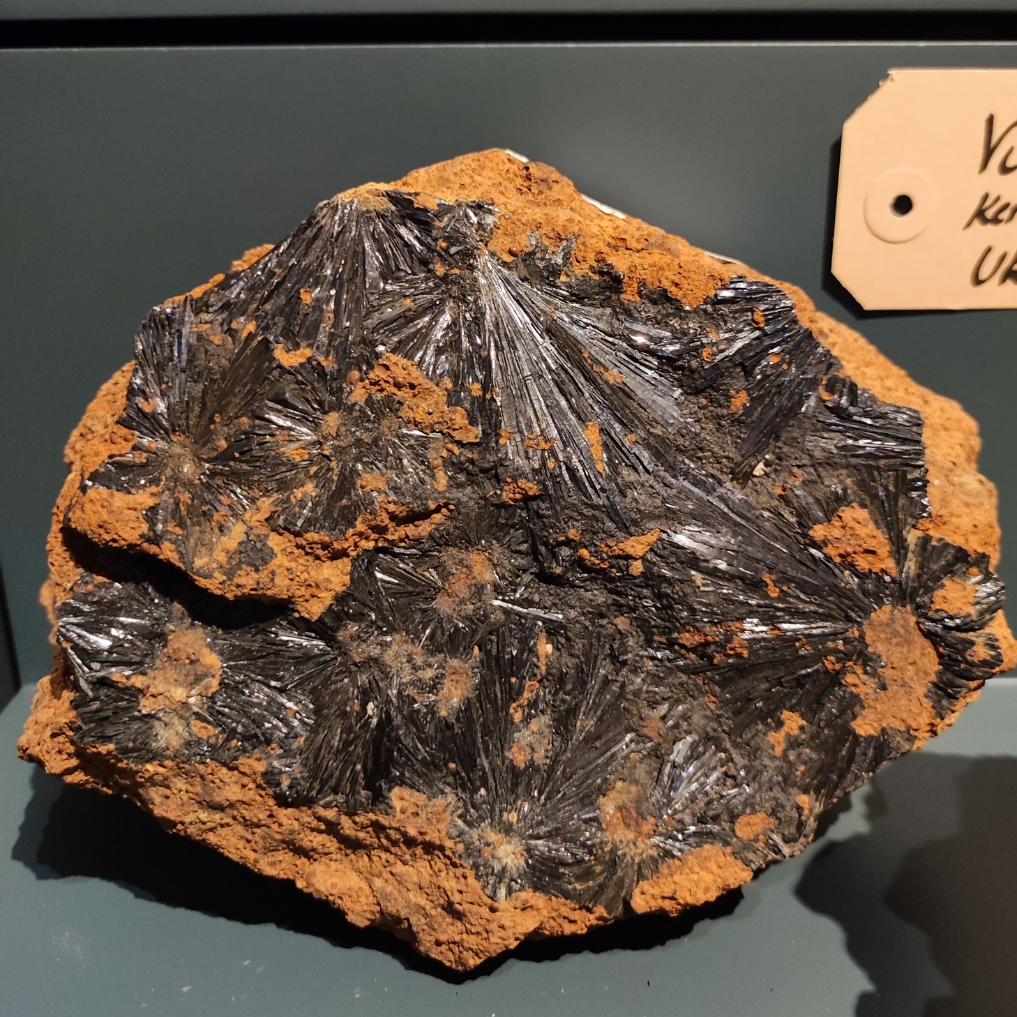 Dieser Alternativtext wurde KI-generiert: Ein Ausstellungsstück, wahrscheinlich ein Mineral, ist auf einem Sockel zu sehen. Es hat eine interessante, faserige Textur und eine rötlich-braune Umgebung.