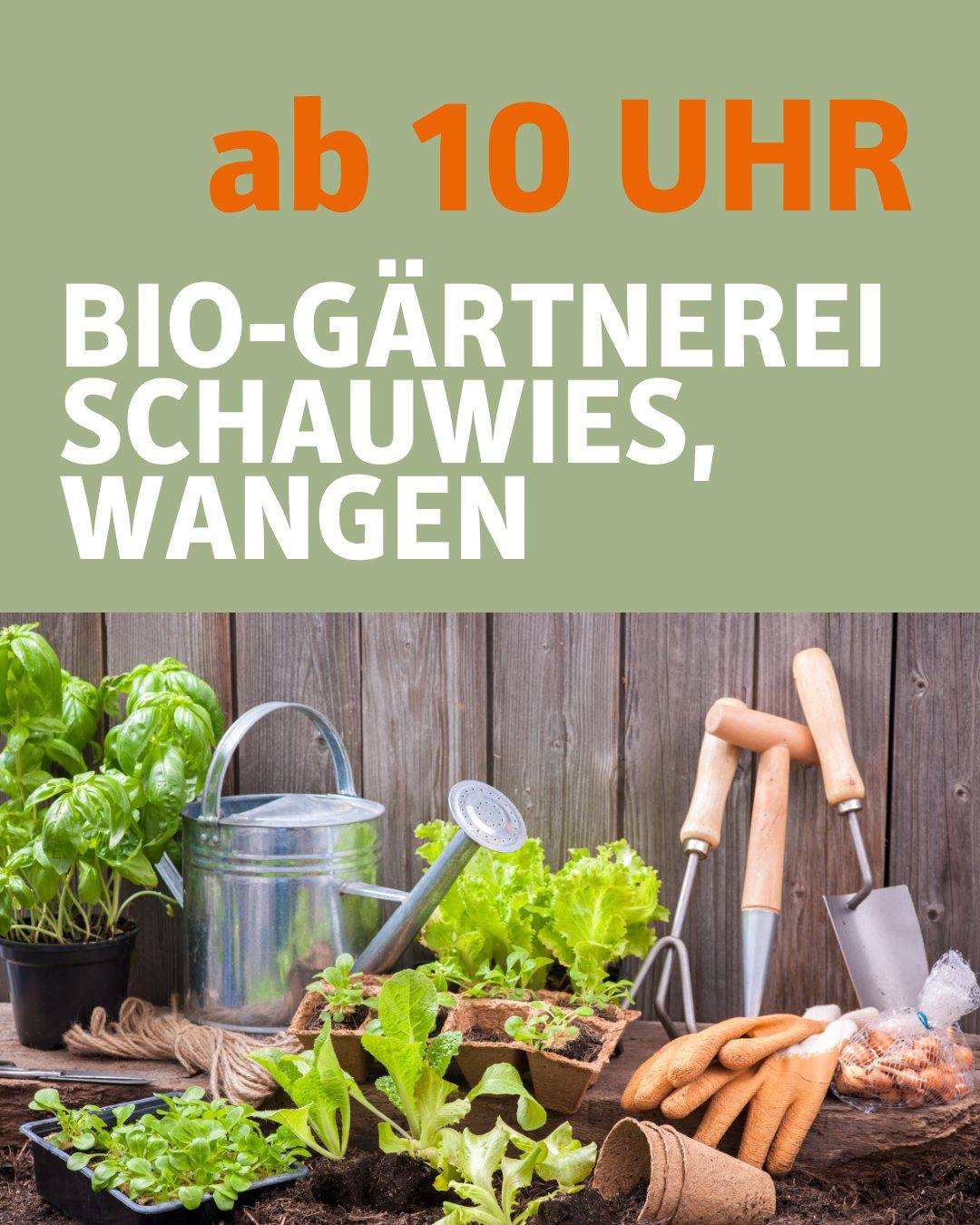 Auf dem Bild ist eine Gießkanne zu sehen. Um sie herum stehen verschiedene Gemüsepflanzen und Gartenwerkzeug. Bildtext: Bio-Gärtnerei Schauwies, Wangen ab 10 Uhr.