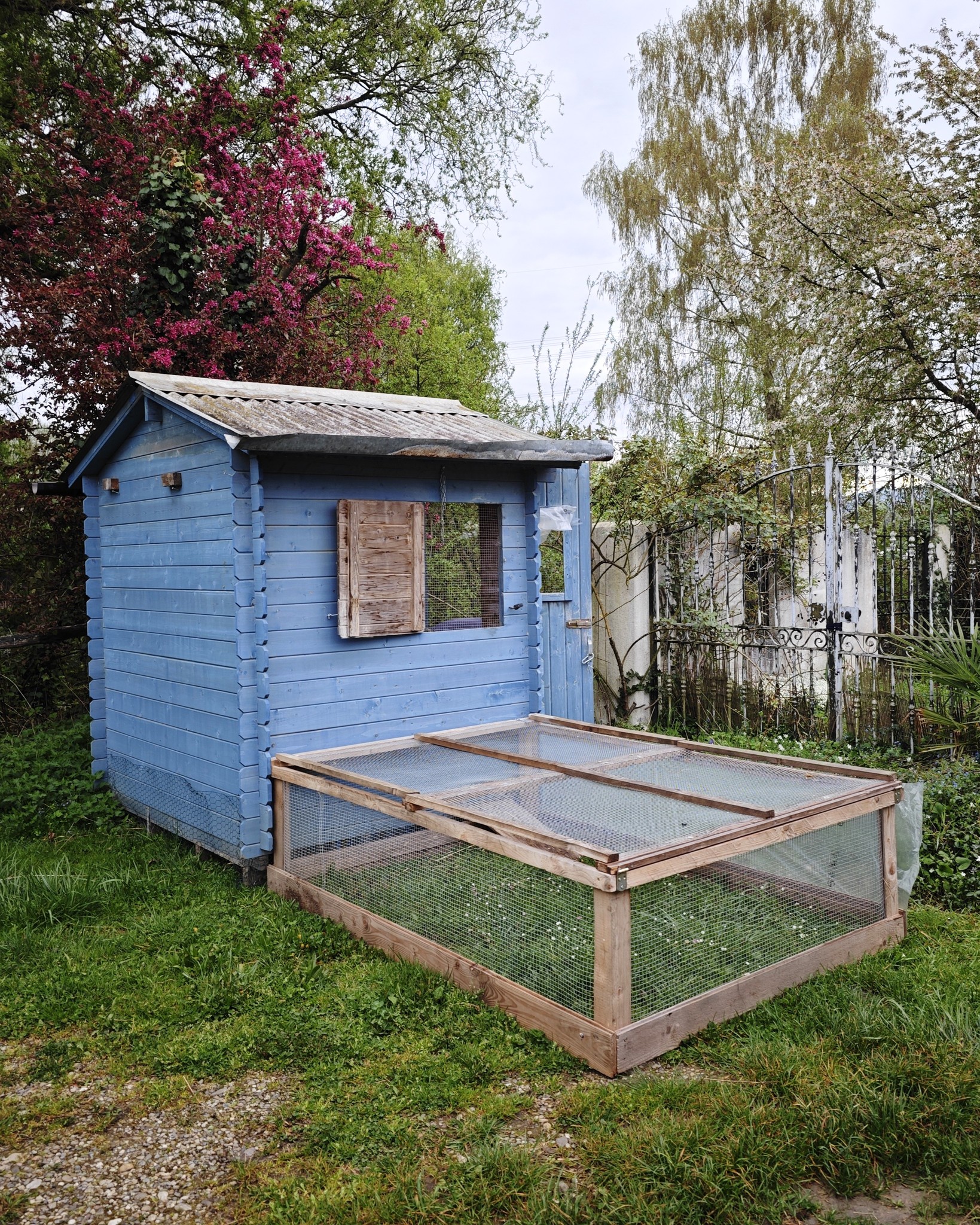 Dieser Alternativtext wurde KI-generiert: Ein blau gestrichenes Holzhaus mit einem kleinen Fenster und einem angelegten Gehege davor. Im Hintergrund sind Bäume und Sträucher zu sehen.