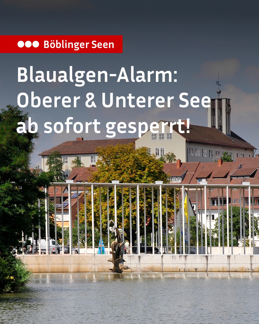 Oben links befindet sich ein roter Balken mit der Aufschrift "Böblinger Seen". Der weiße Text im Vordergrund lautet "Blaualgen-Alarm: Oberer & Unterer See ab sofort gesperrt!". Im Hintergrund ist ein Gewässer mit einer Brüstung, Bäumen und städtischen Gebäuden zu sehen. (KI-Alternativtext)