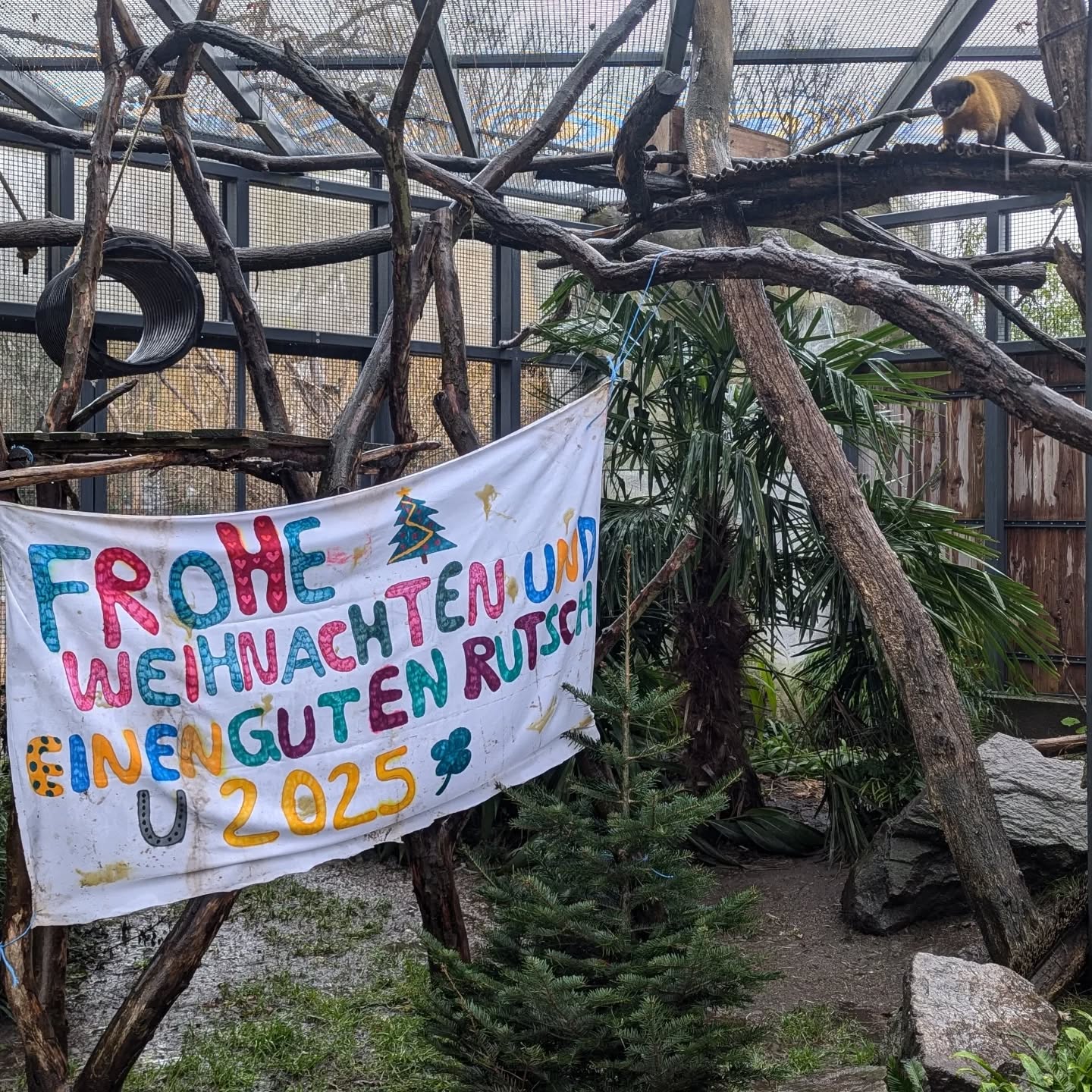 Ein Tier in einem Gehege mit einem handgemalten Weihnachtsgruß. Frohe Weihnachten und einen guten Rutsch ins neue Jahr 2025.
