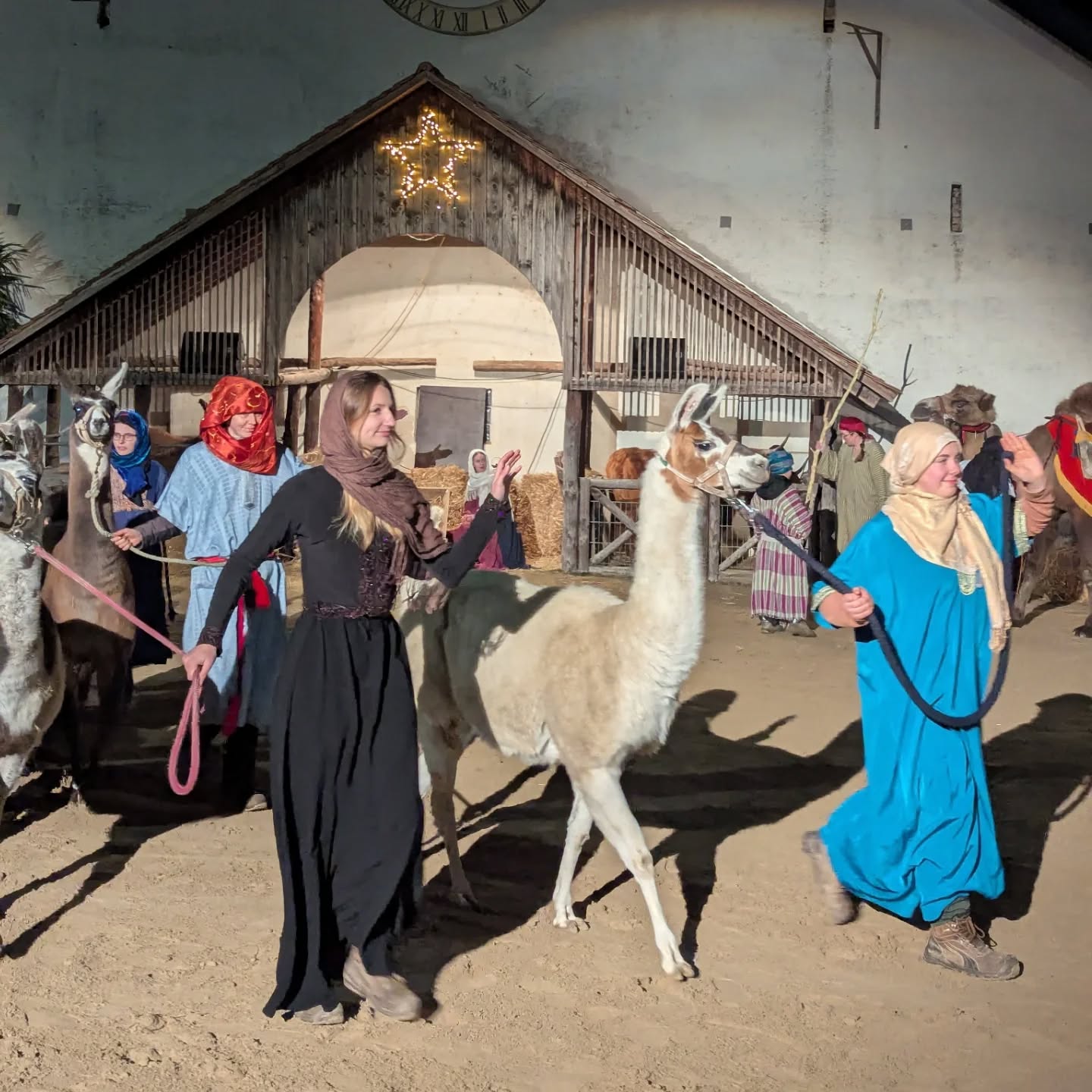 Dieser Alternativtext wurde KI-generiert: Eine Gruppe von Menschen und Tiere stehen vor einem Gebäude mit einem Stern. Es scheint sich um eine szenische Darstellung zu handeln.