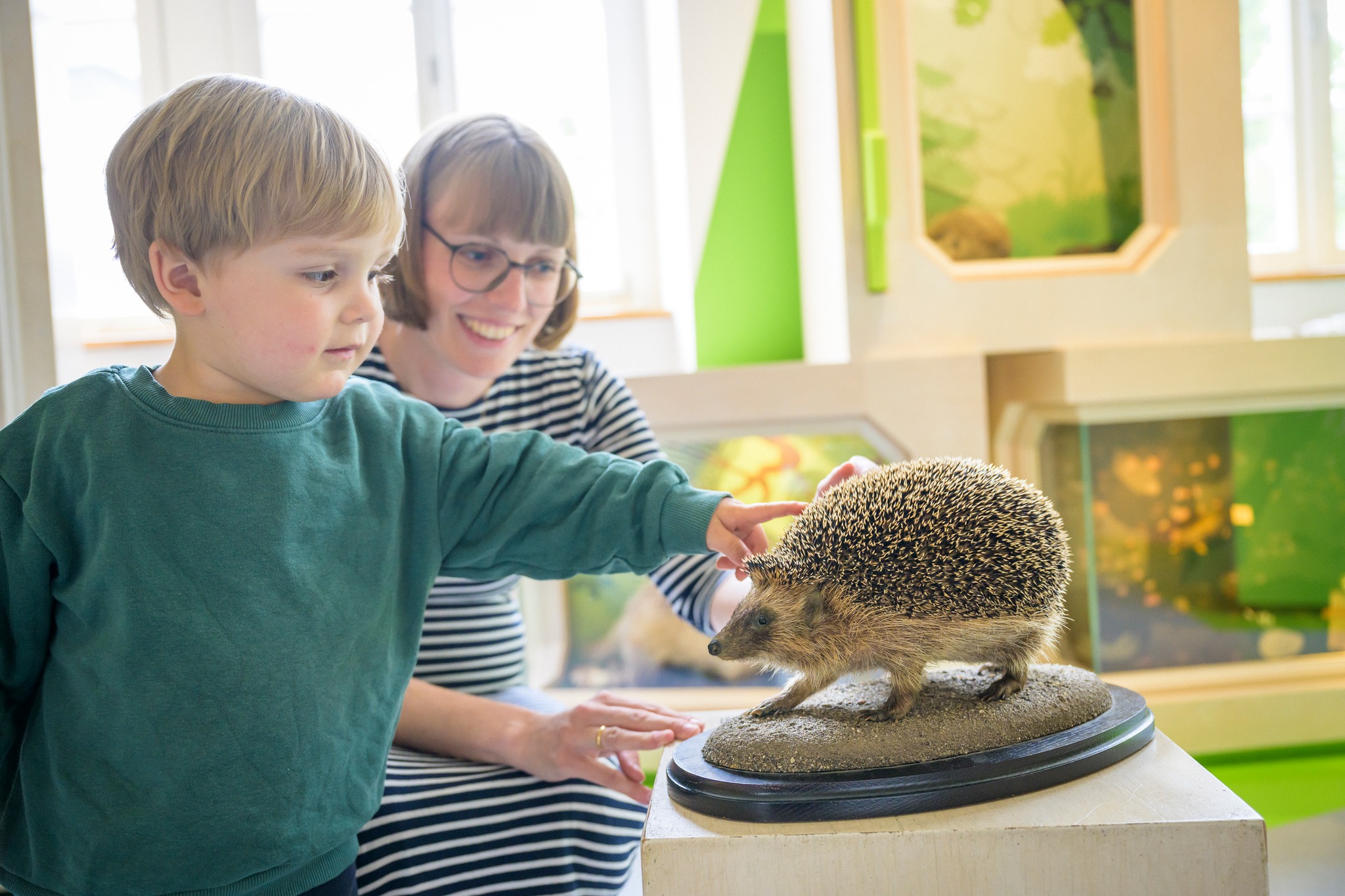 Dieser Alternativtext wurde KI-generiert: Zwei Personen betrachten gemeinsam ein Igelmodell auf einem Sockel. Im Hintergrund sind Fenster und eine grüne Wand zu sehen.
