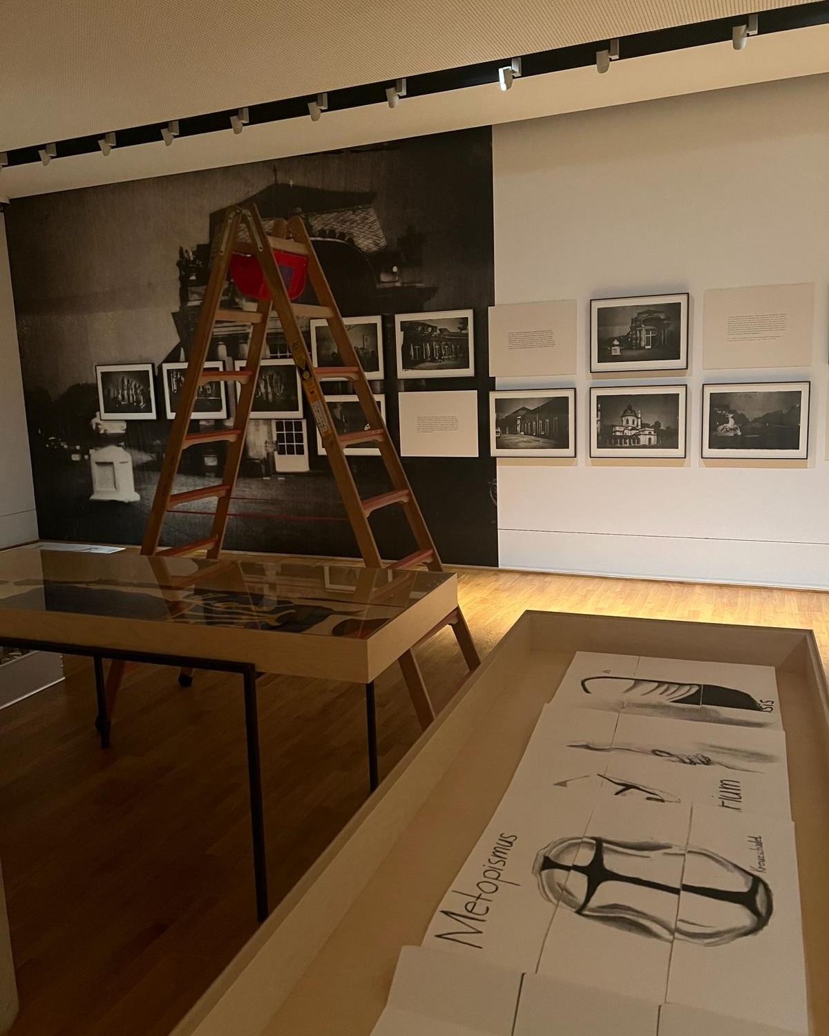 Ausstellungssaal mit Holzboden, einer Leiter vor einer großen Schwarz-Weiß-Wandfotografie, gerahmten Fotos an der Wand und einer Vitrine mit Skizzen, darunter eine mit der Aufschrift „Metopismus“. (KI-Alternativtext)
