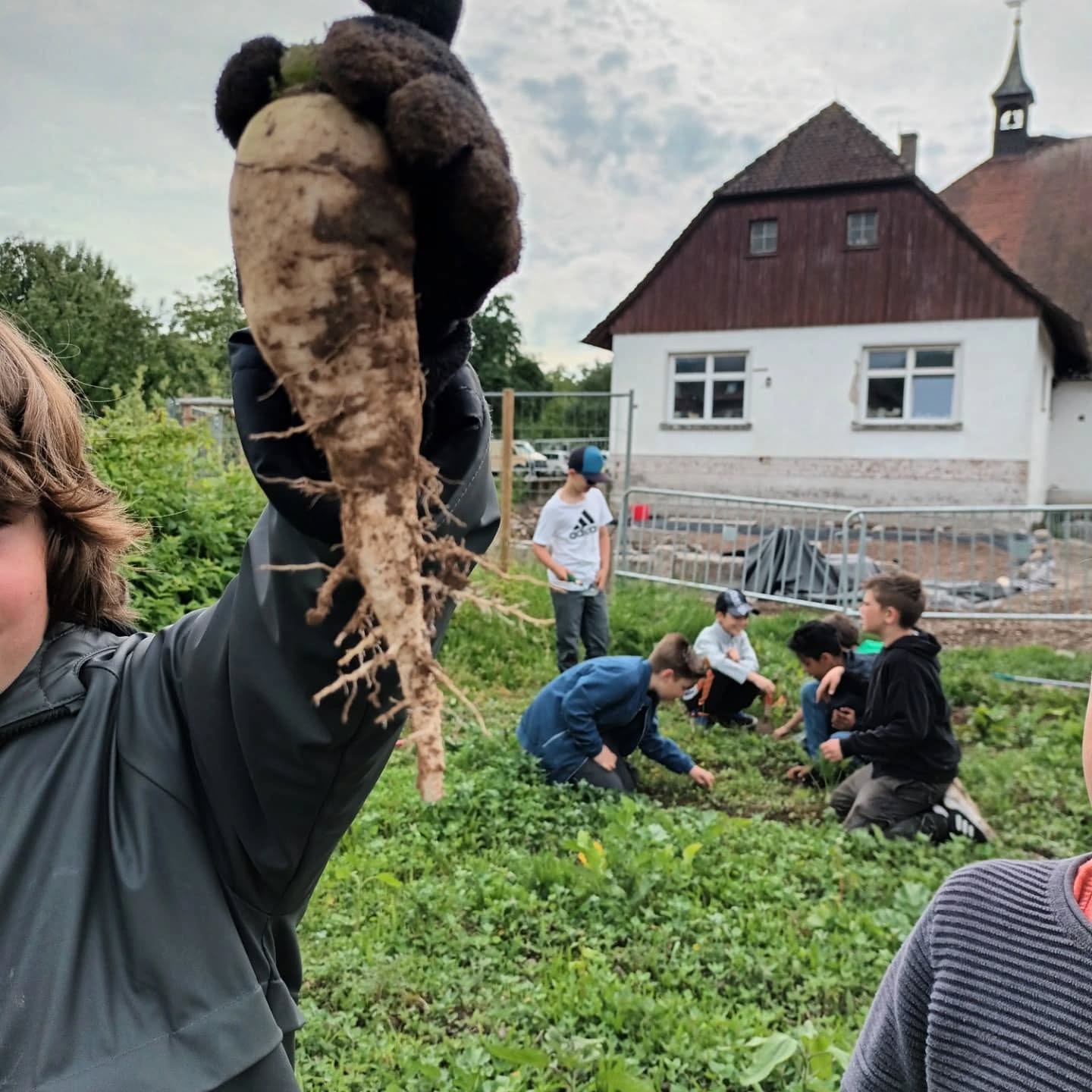Eine Person präsentiert eine große, schmutzige Wurzel. Im Hintergrund sind weitere Personen auf einem Feld zu sehen.