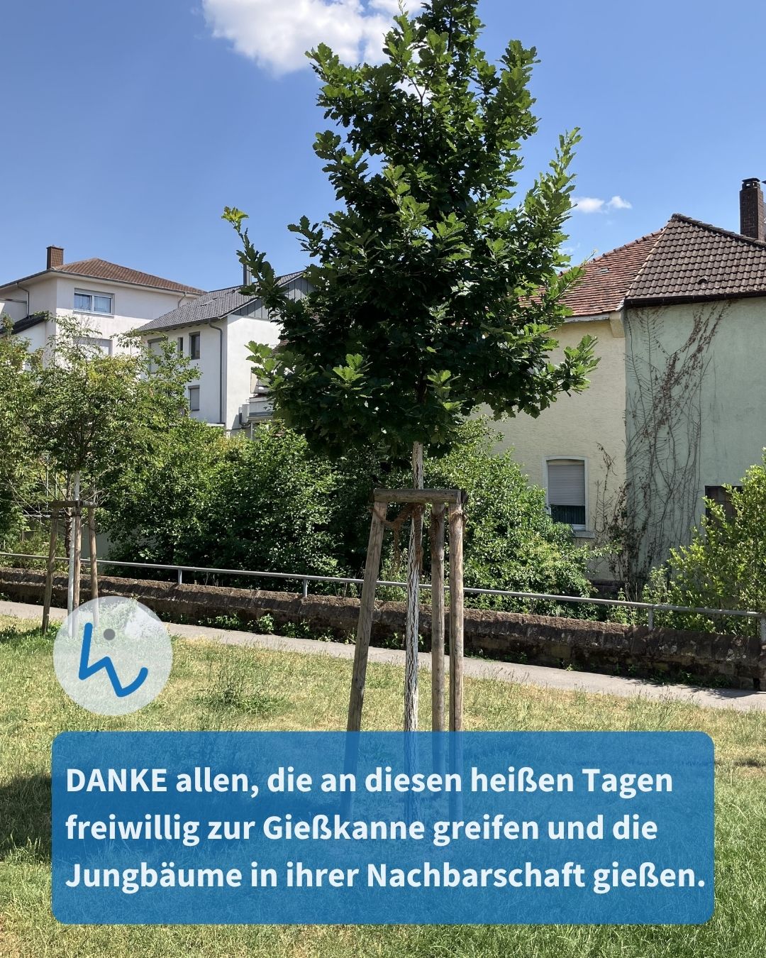 Ein junger Baum mit Holzstützen steht auf einer Wiese vor Wohnhäusern. Ein blauer Textkasten unten enthält die Aufschrift: „DANKE allen, die an diesen heißen Tagen freiwillig zur Gießkanne greifen und die Jungbäume in ihrer Nachbarschaft gießen.“ (KI-Alternativtext)