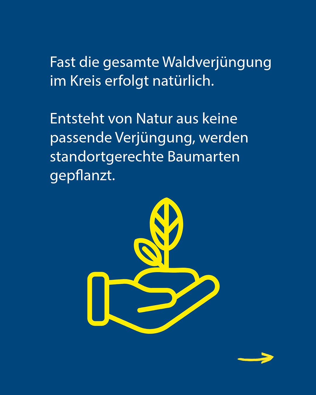 Dieser Alternativtext wurde KI-generiert: Ein blauer Hintergrund zeigt Text und eine stilisierte Grafik. Die Grafik zeigt eine Hand, die einen kleinen Baumtrieb hält, darunter ein Pfeil, der nach rechts zeigt.
