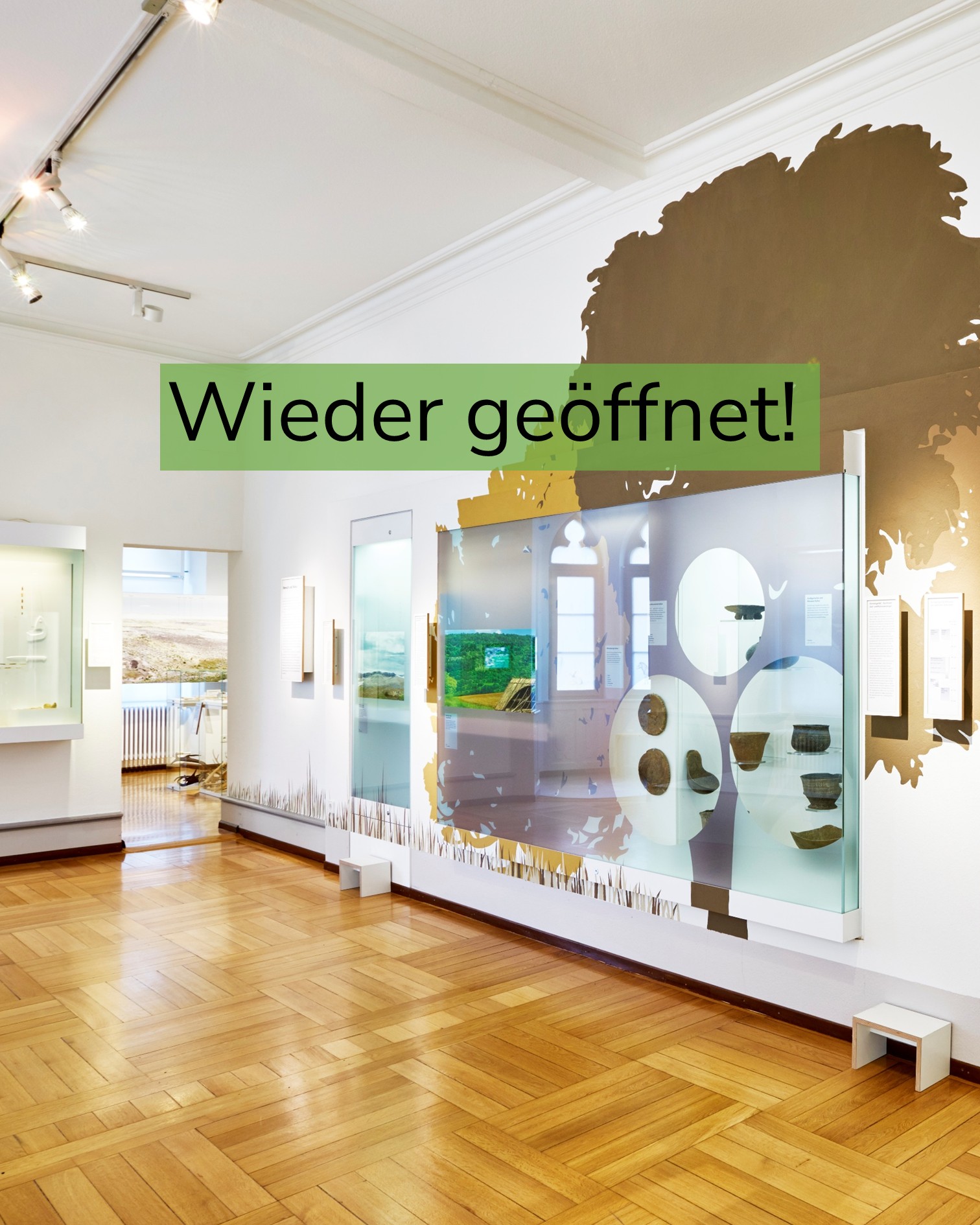Heller Museumsraum mit Parkettboden und mehreren Glasvitrinen, die Ausstellungsstücke und Infotafeln enthalten. Ein grüner Textbalken in der Bildmitte trägt die Aufschrift "Wieder geöffnet!". (KI-Alternativtext)