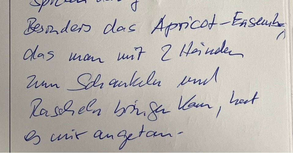 Dieser Alternativtext wurde KI-generiert: Schwarz-Weiß-Aufnahme einer handgeschriebenen Notiz. Der Text ist in geschwungener Schrift verfasst und nicht vollständig lesbar.
