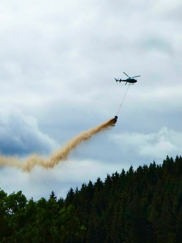 Ein Hubschrauber fliegt über einem bewaldeten Hang und lässt eine braune Substanz, die wie Sand aussieht, aus einer Schlepptonne fallen. Der Himmel im Hintergrund ist bewölkt. (KI-Alternativtext)