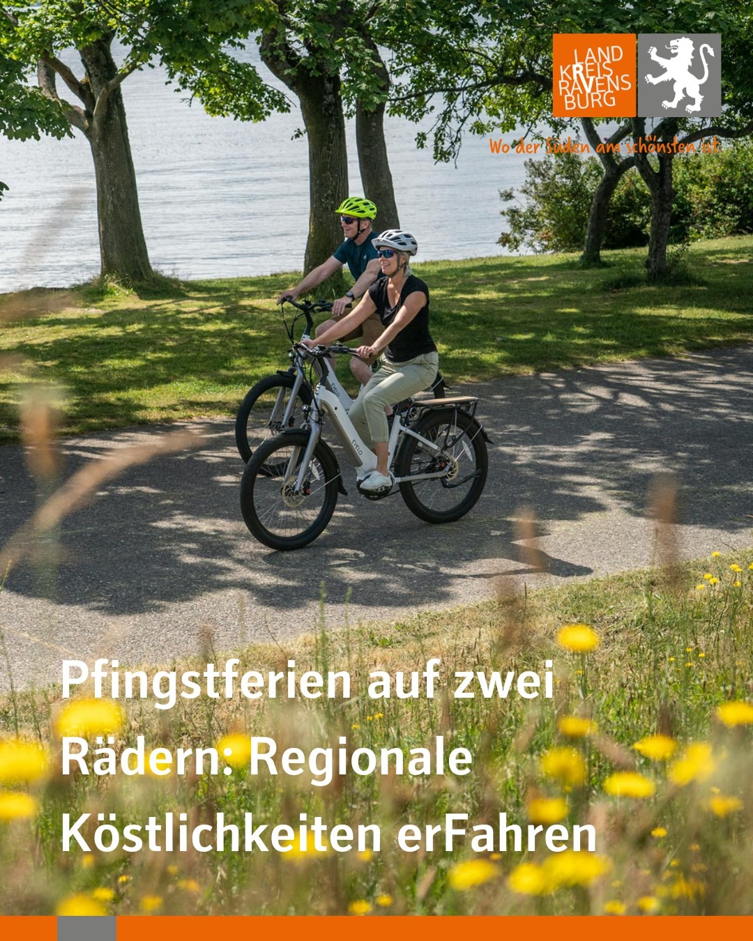 Eine sonnige Szene mit zwei Personen auf Fahrrädern in einer grünen Landschaft am Wasser. Die Fahrräder fahren auf einem asphaltierten Weg.