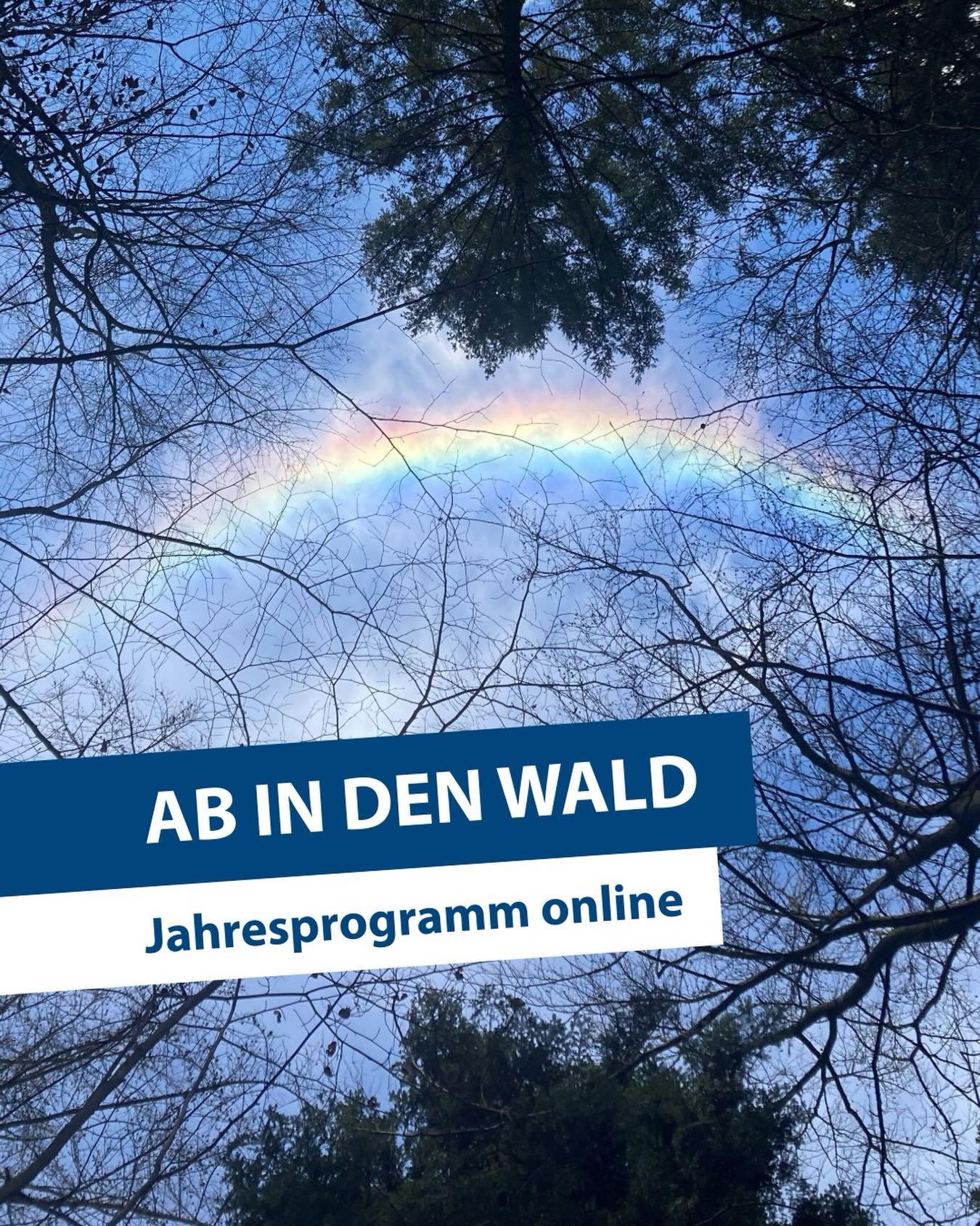 Dieser Alternativtext wurde KI-generiert: Ein Foto zeigt Äste gegen einen blauen Himmel mit einem Regenbogen. Ein blaues Banner mit Text überlagert das Bild.