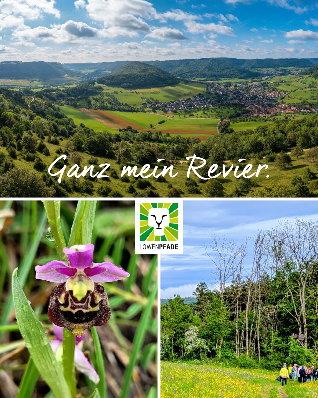 Panoramablick auf grüne Hügel mit einem Dorf, darunter eine Nahaufnahme einer lila-weißen Orchidee und eine Gruppe von Menschen auf einem blumenübersäten Weg im Wald; dazwischen das Logo „Löwenpfade“ und der Schriftzug „Ganz mein Revier.“ (KI-Alternativtext)