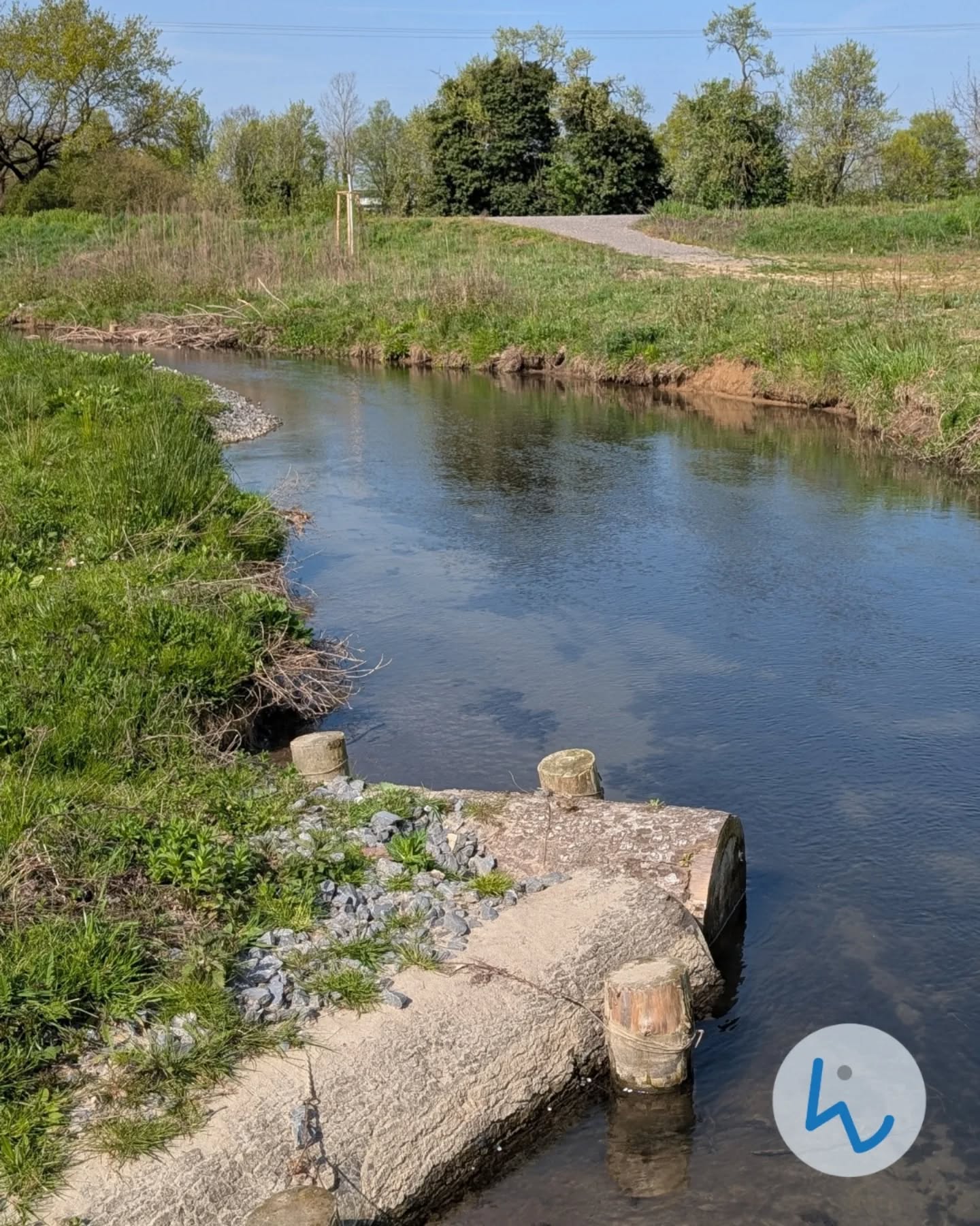 Dieser Alternativtext wurde KI-generiert: Ein ruhiger Fluss fließt durch eine grüne Landschaft. Am Ufer befinden sich Steine und spärliche Vegetation.