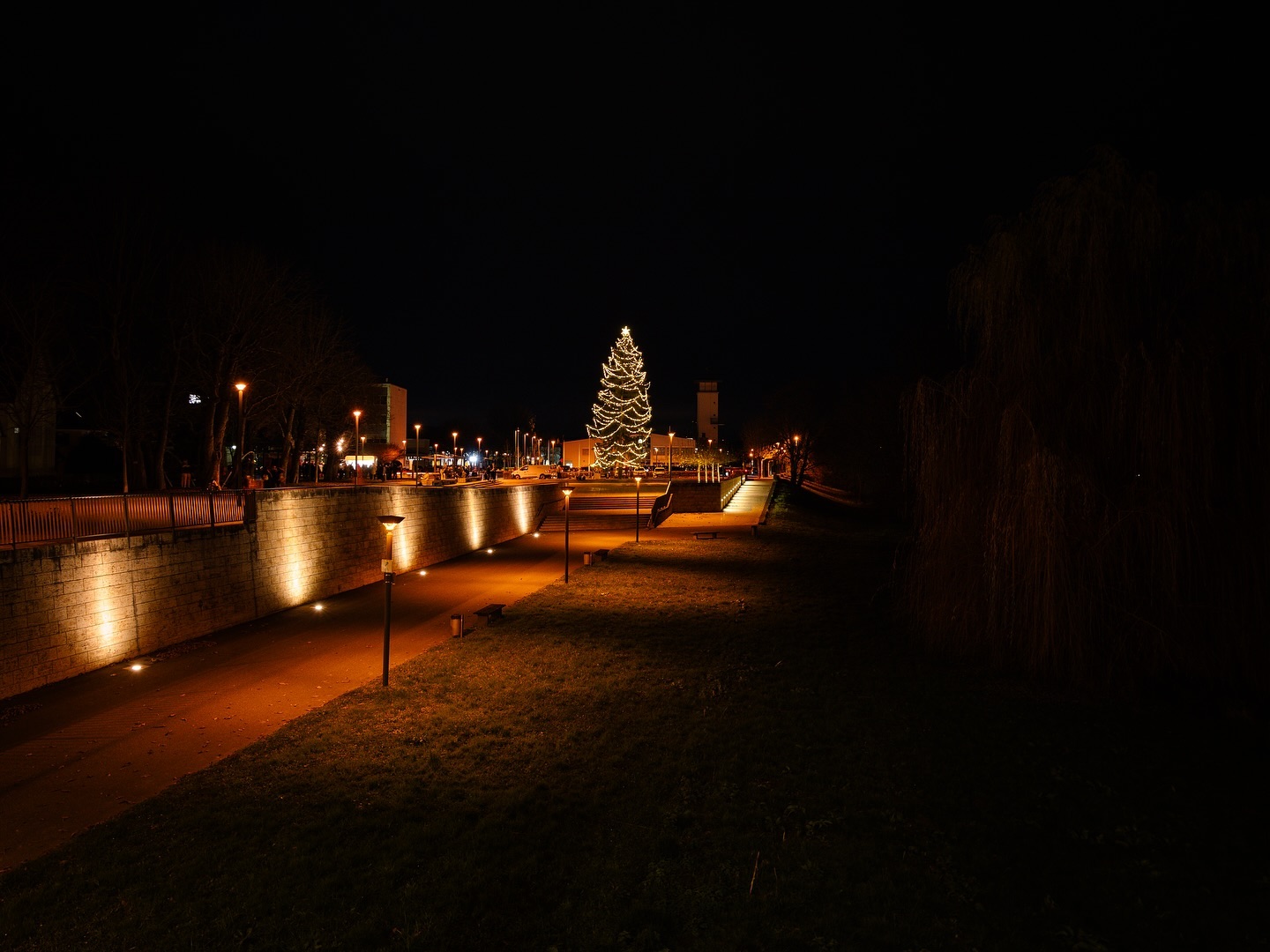 Ein beleuchteter Weg führt zu einem geschmückten Weihnachtsbaum, der nachts steht. Links ist eine niedrige Mauer mit Lichtern zu sehen.