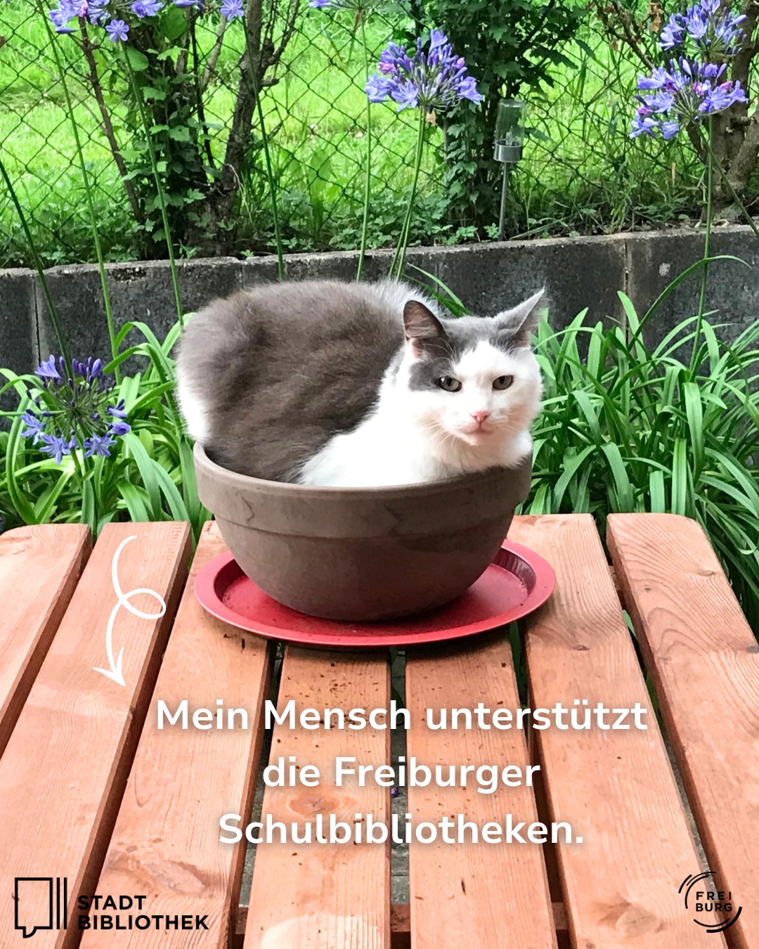 Dieser Alternativtext wurde KI-generiert: Eine Katze sitzt in einem Blumentopf auf einer Bank. Im Hintergrund sind Pflanzen und eine Mauer zu sehen.