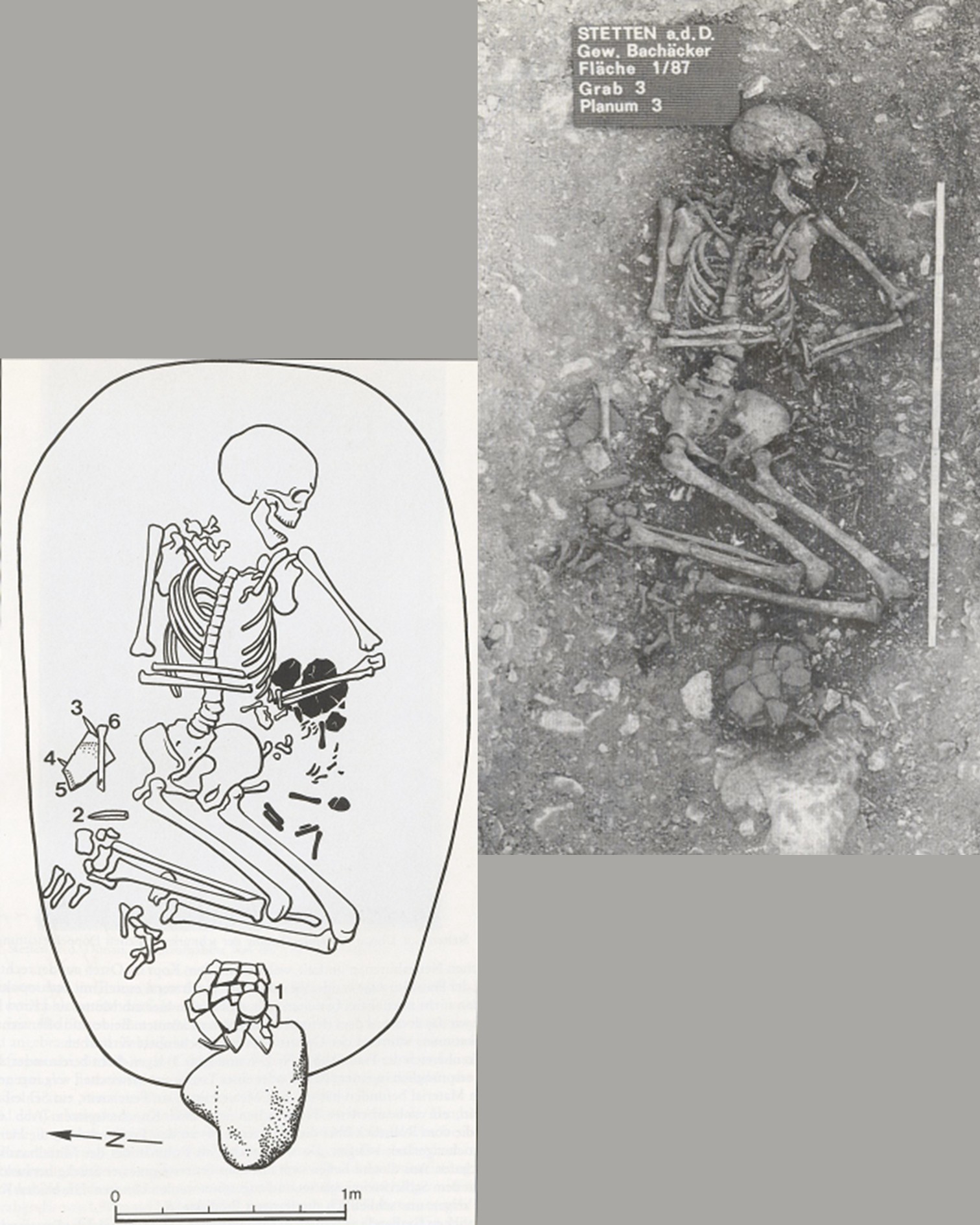 Dieser Alternativtext wurde KI-generiert: Schwarz-Weiß-Bild einer archäologischen Ausgrabungsstätte. Es zeigt eine Skelettzeichnung in einem Umriss und ein Foto von menschlichen Überresten in der Erde.