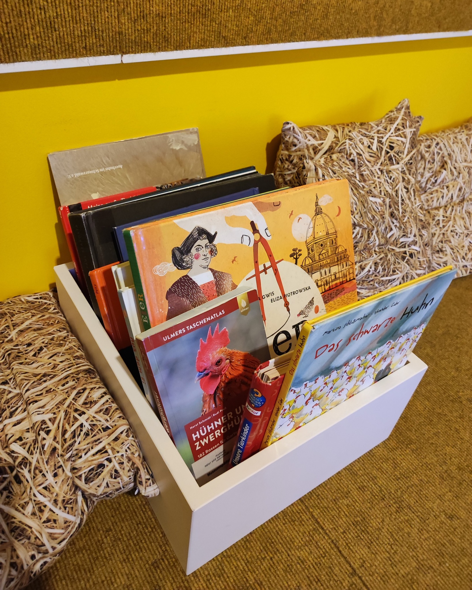 Dieser Alternativtext wurde KI-generiert: Eine Schachtel voller Bücher steht auf einem Teppich. Die Buchrücken sind bunt und zeigen verschiedene Illustrationen und Titel.