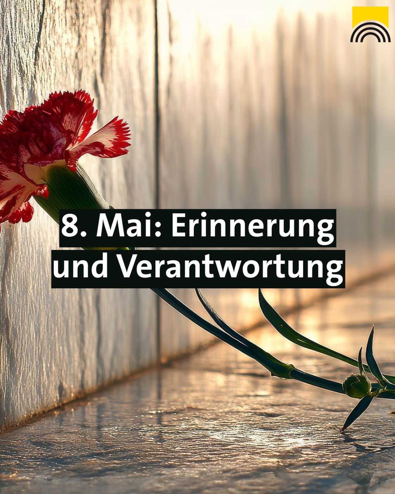 Dieser Alternativtext wurde KI-generiert: Ein roter Nelke liegt vor einer verschwommenen, strukturierten Wand. Ein Textblock mit der Aufschrift "8. Mai: Erinnerung und Verantwortung" überlagert das Bild.