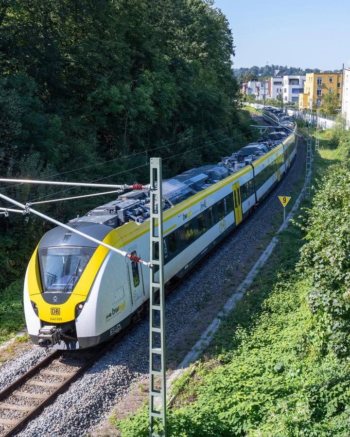 Dieser Alternativtext wurde KI-generiert: Ein gelb-blauer Zug fährt auf Gleisen entlang, umgeben von grüner Vegetation und einer städtischen Umgebung. Das Bild ist farbig und zeigt eine erhöhte Perspektive auf die Szene.