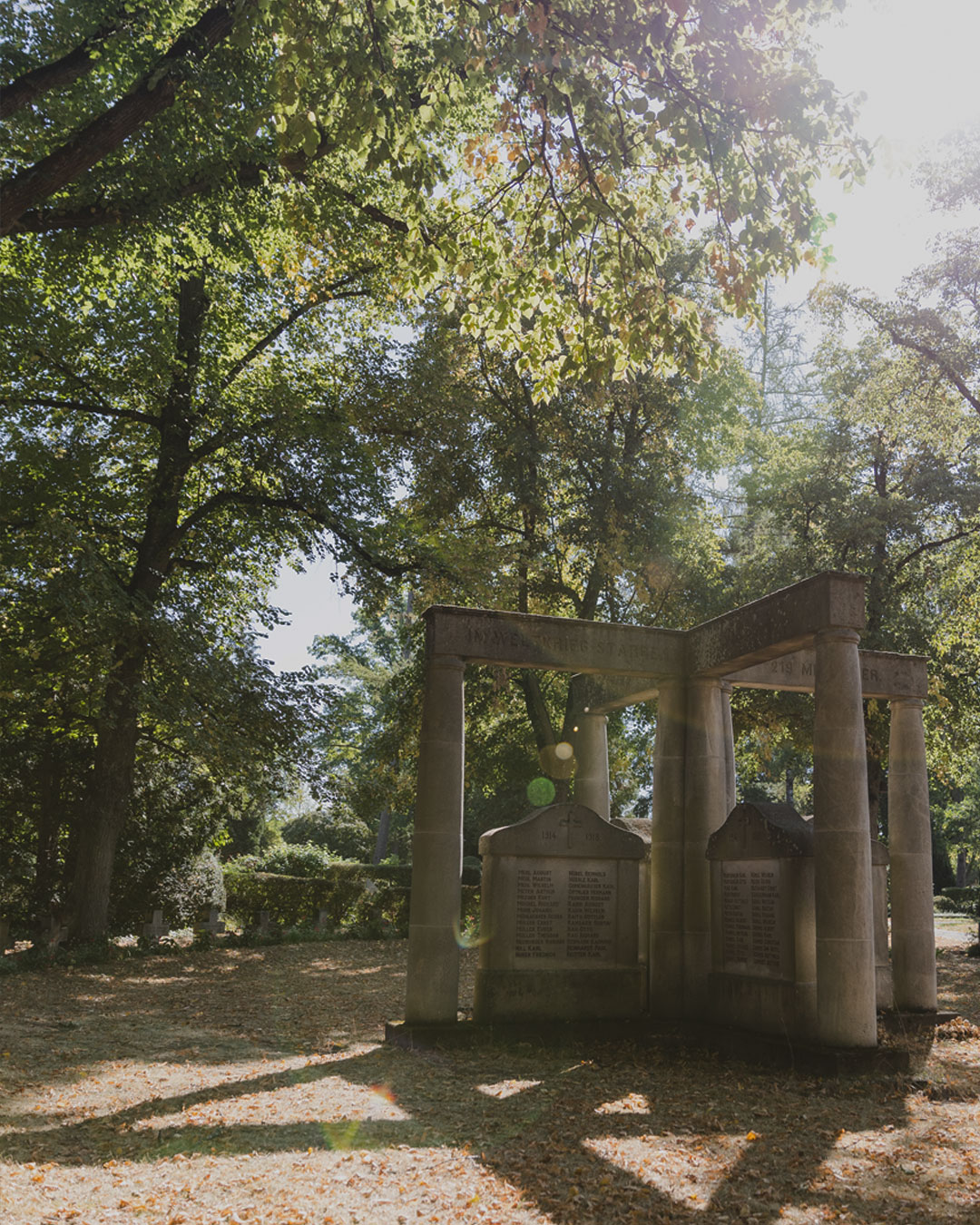 Dieser Alternativtext wurde KI-generiert: Ein steinernes Bauwerk steht inmitten von Bäumen und Grün. Sonnenlicht scheint durch das Blätterdach und erhellt die Szene.