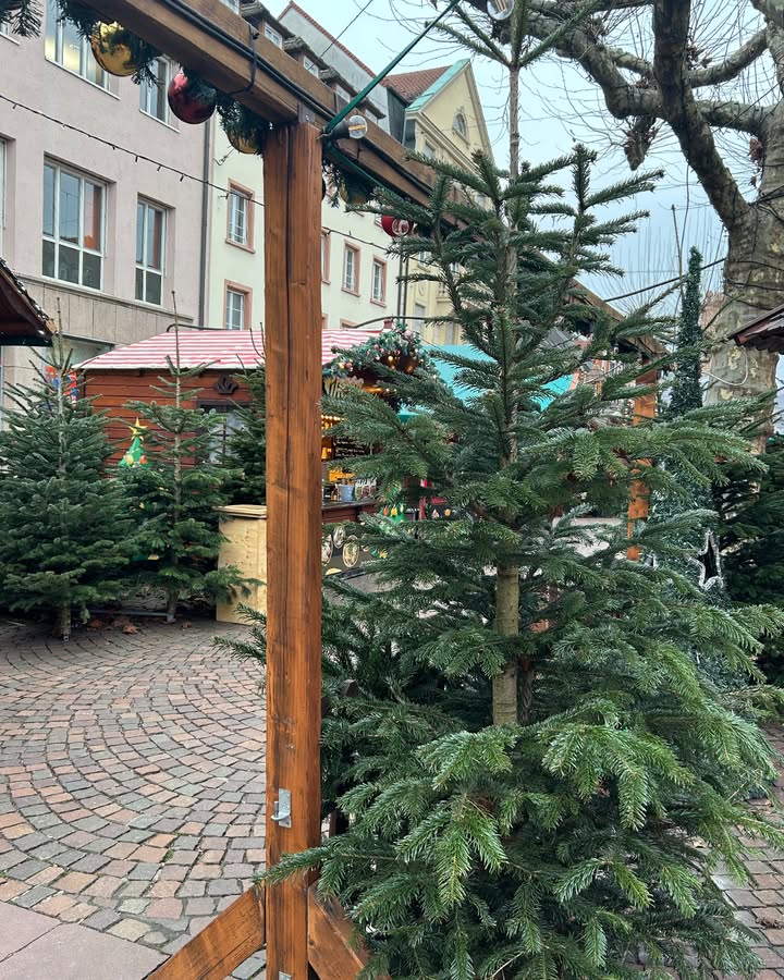Dieser Alternativtext wurde KI-generiert: Ein beleuchteter Weihnachtsbaum steht im Vordergrund vor einer Straßenszene mit Gebäuden und Marktständen. Der Platz ist gepflastert und es scheint, als wäre es eine winterliche Umgebung.