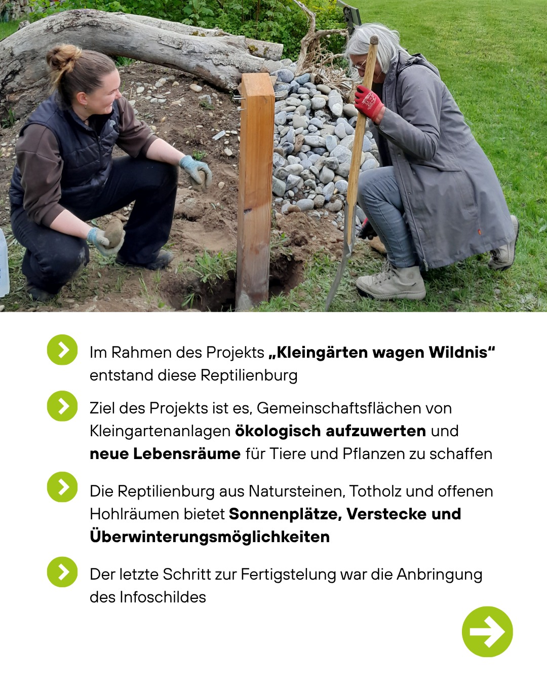 Zwei Personen bauen im Freien eine Reptilienburg aus Holz und Steinen; eine hält einen Spaten, die andere arbeitet am Boden. Im Hintergrund Gras und ein umgestürzter Baumstamm. (KI-Alternativtext)