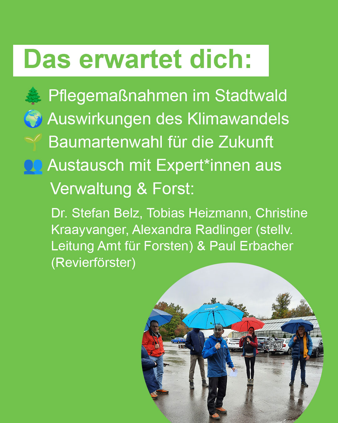 Dieser Alternativtext wurde KI-generiert: Ein farbiges Bild zeigt Text zu Themen wie Baumarten und Klimawandel. Darunter ist eine Gruppe von Personen mit Regenschirmen im Freien zu sehen.