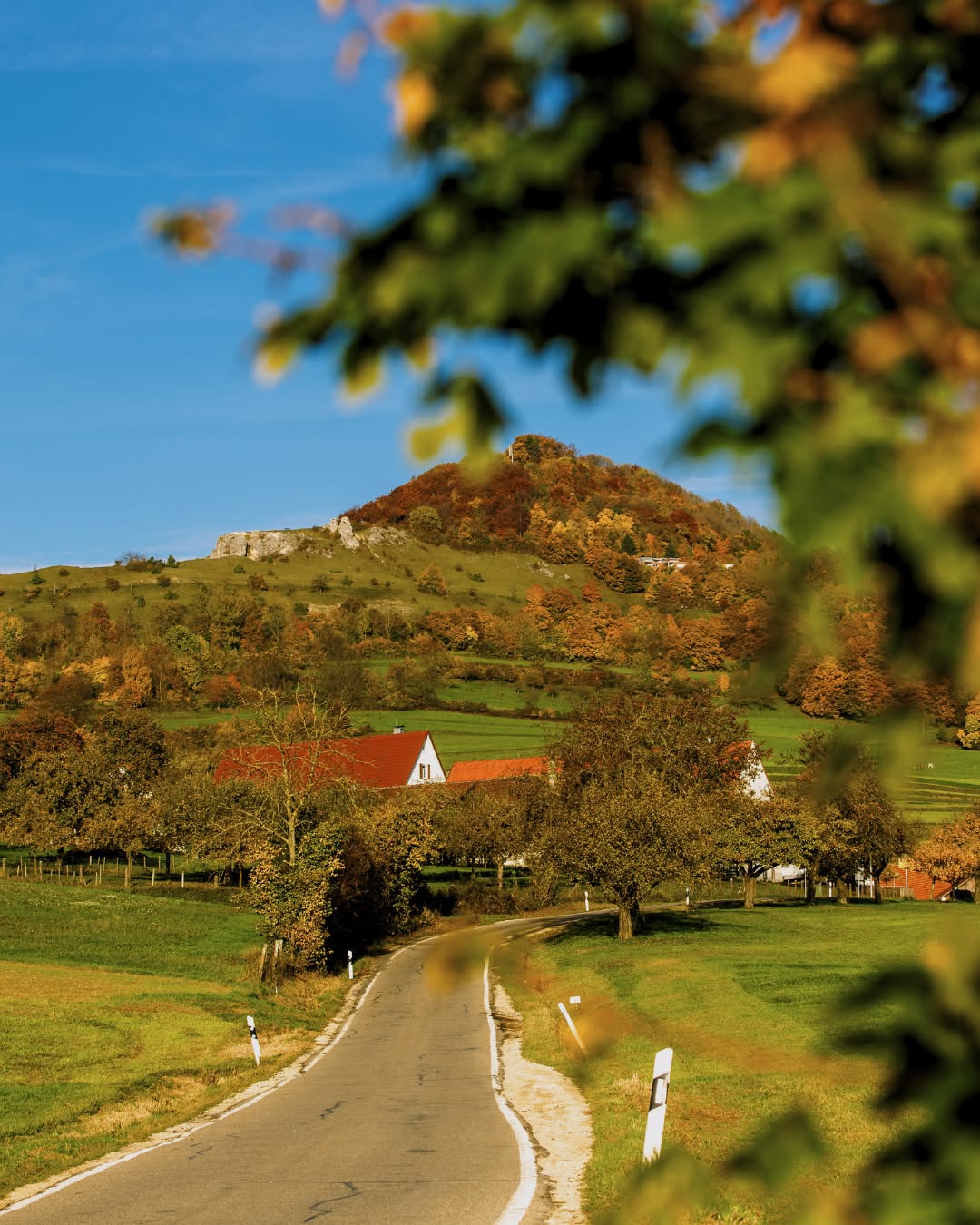 Dieser Alternativtext wurde KI-generiert: Eine Landschaftsaufnahme zeigt eine Straße, die zu einem Hügel mit einer Burgruine führt. Bäume mit Herbstlaub säumen die Straße und umgeben eine kleine Siedlung.