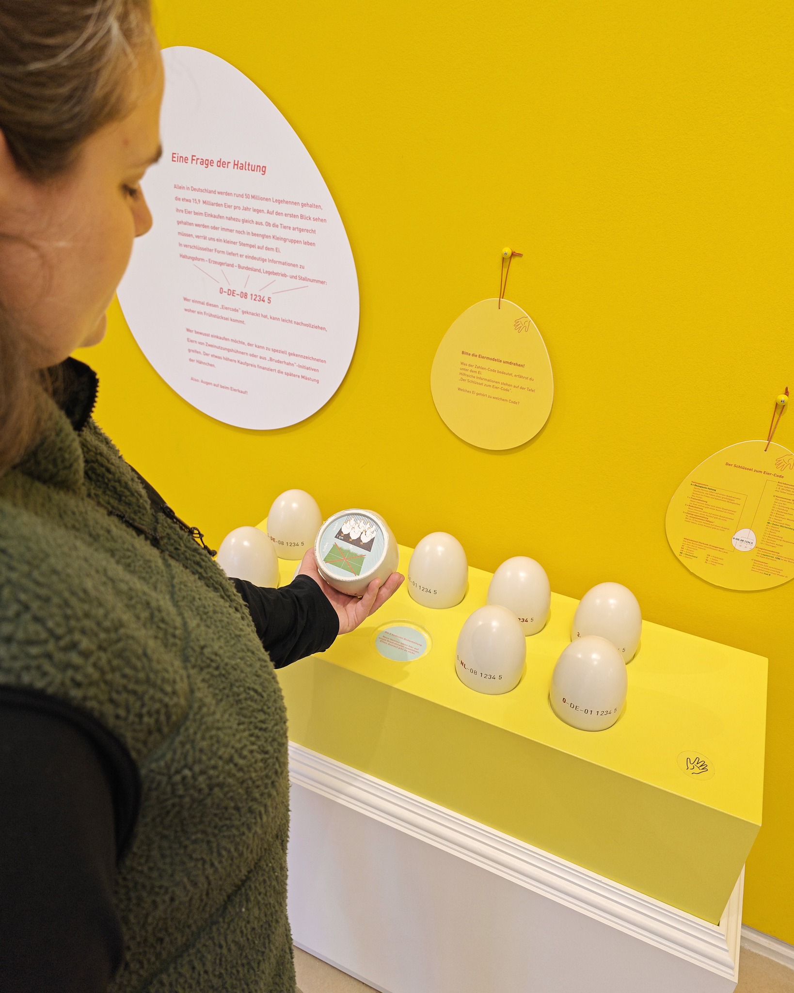 Dieser Alternativtext wurde KI-generiert: Ein Innenraum zeigt eine Ausstellung mit Texttafeln und Objekten auf Tischen und an der Wand. Die Farbgebung ist überwiegend gelb und weiß.